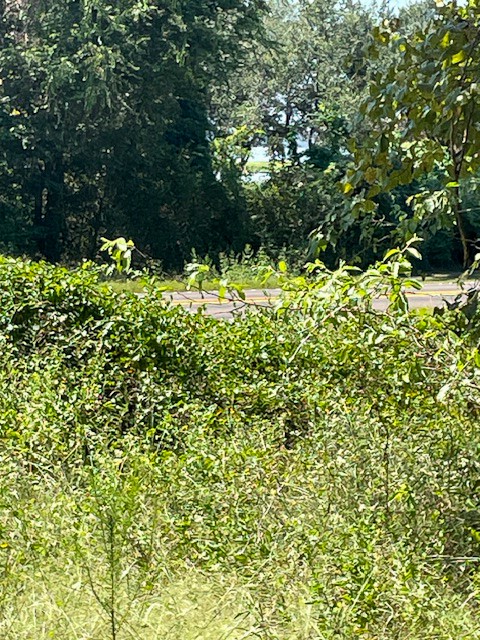 8881 Fm 356 Property Photo 3