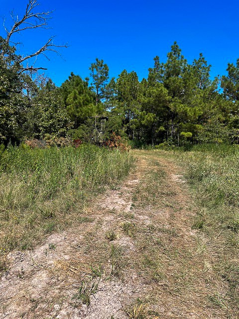 8881 Fm 356 Property Photo 7