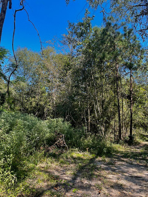 8881 Fm 356 Property Photo 8