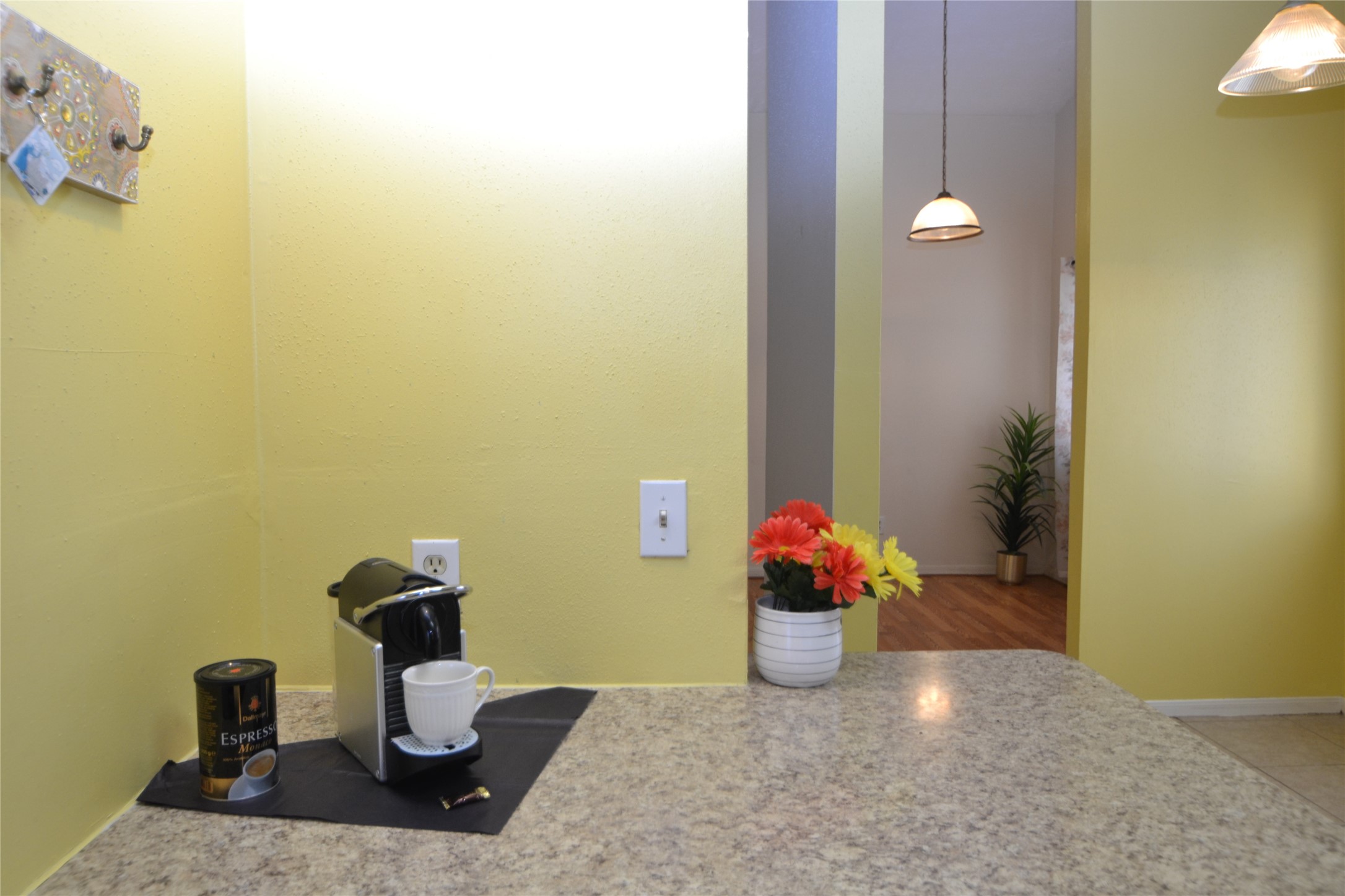 7014 Dickson Way Property Photo 17