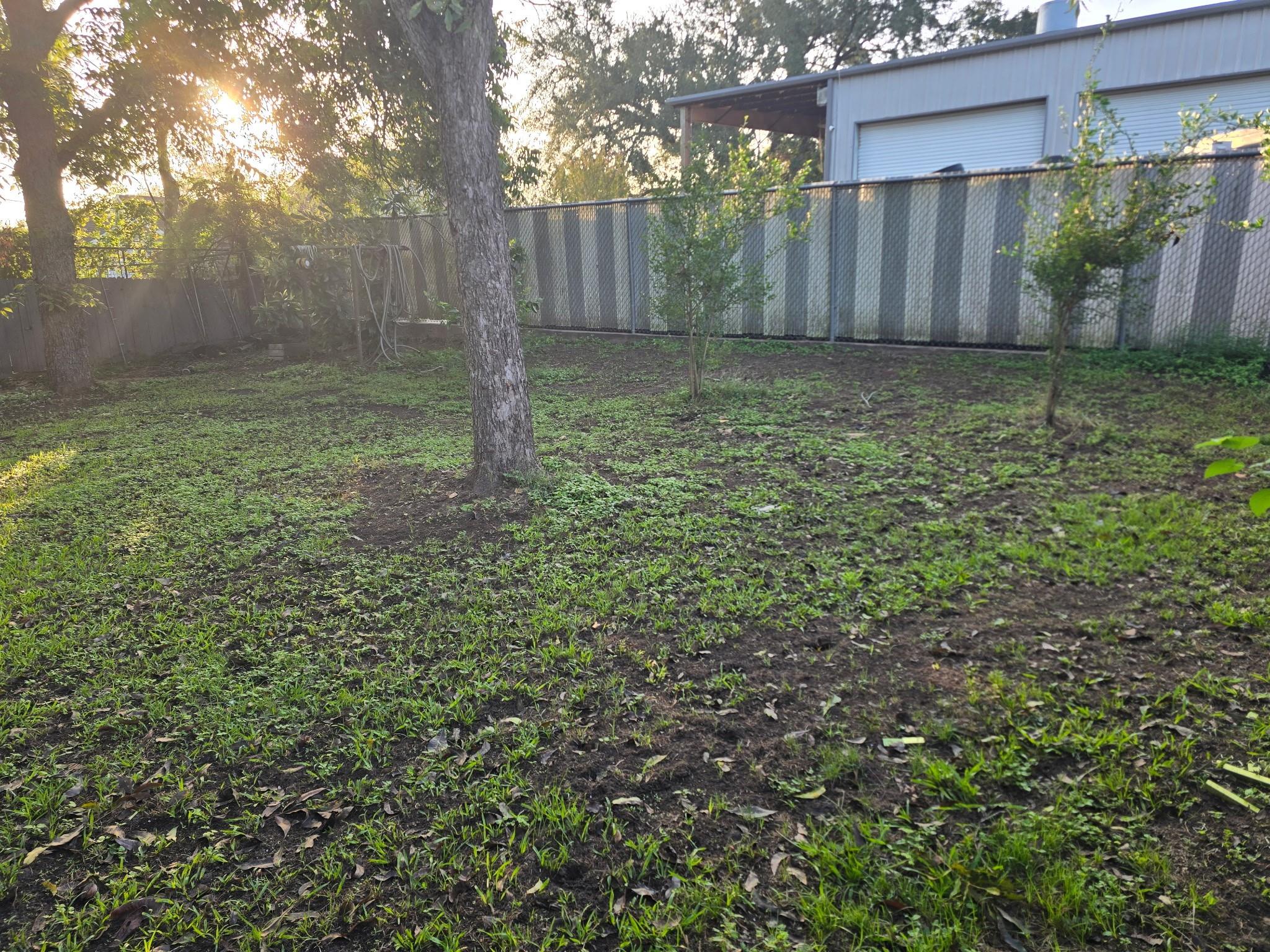 916 Meyer Street, Sealy Tx 77474 Property Photo 27