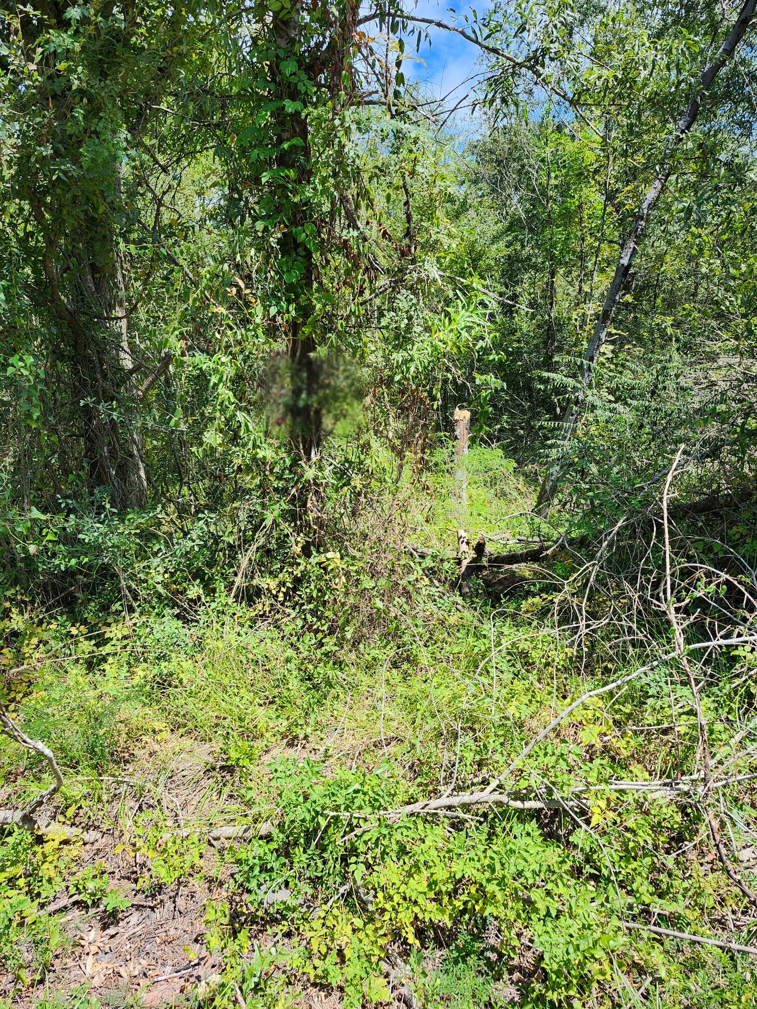 112 Brazil Boulevard Property Photo 1