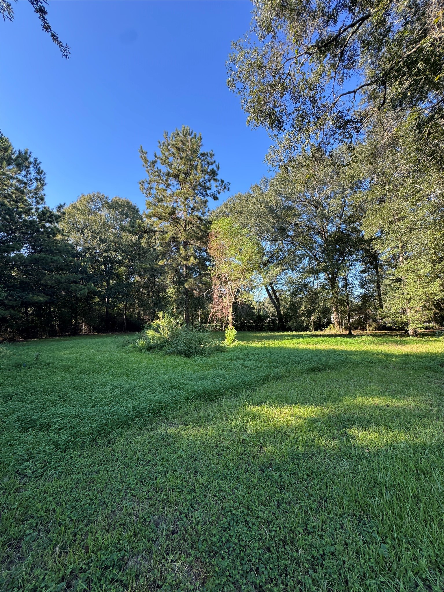 25059 Morton Road Property Photo 12
