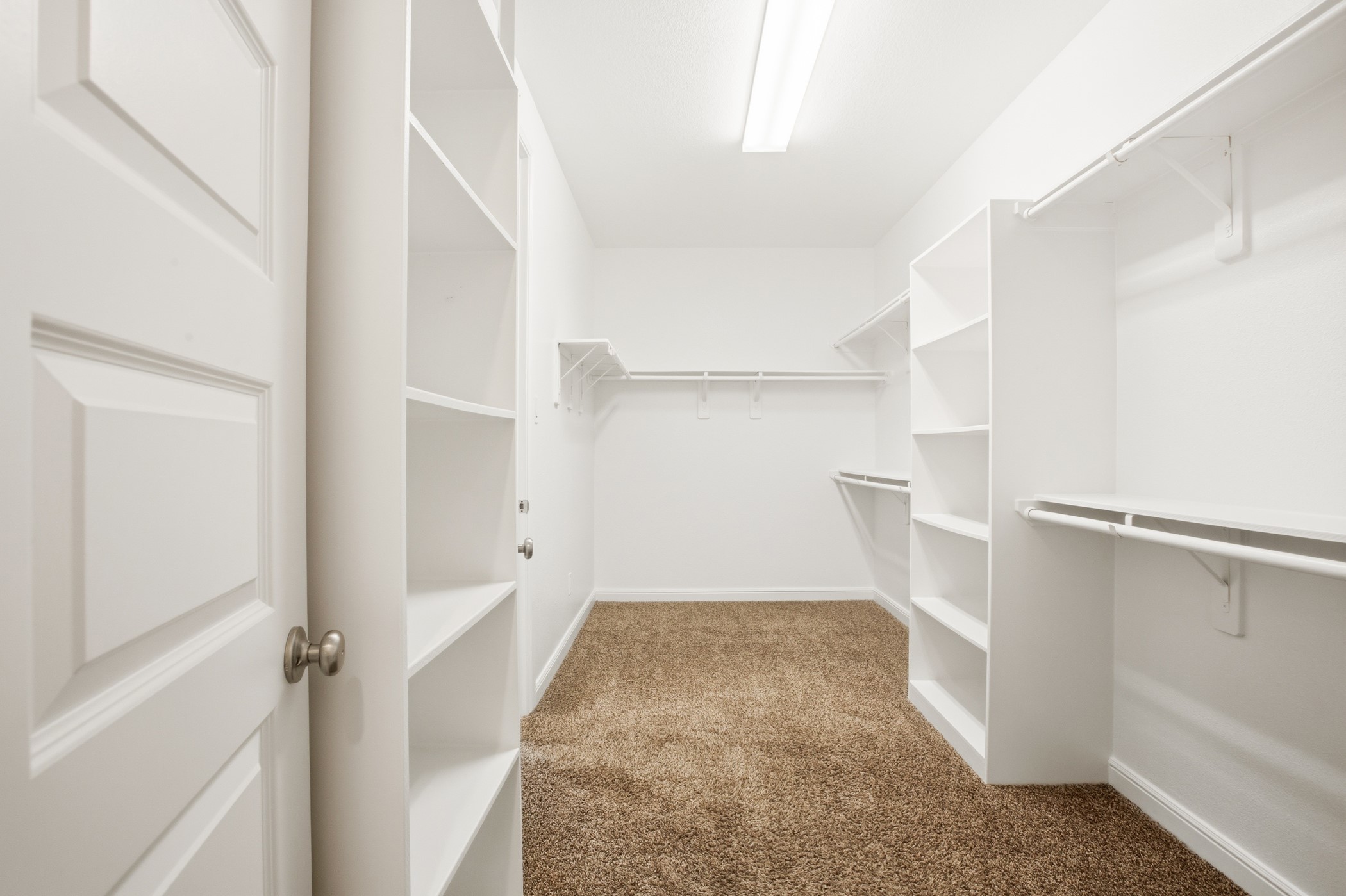6639 Brady Springs Lane Property Photo 14