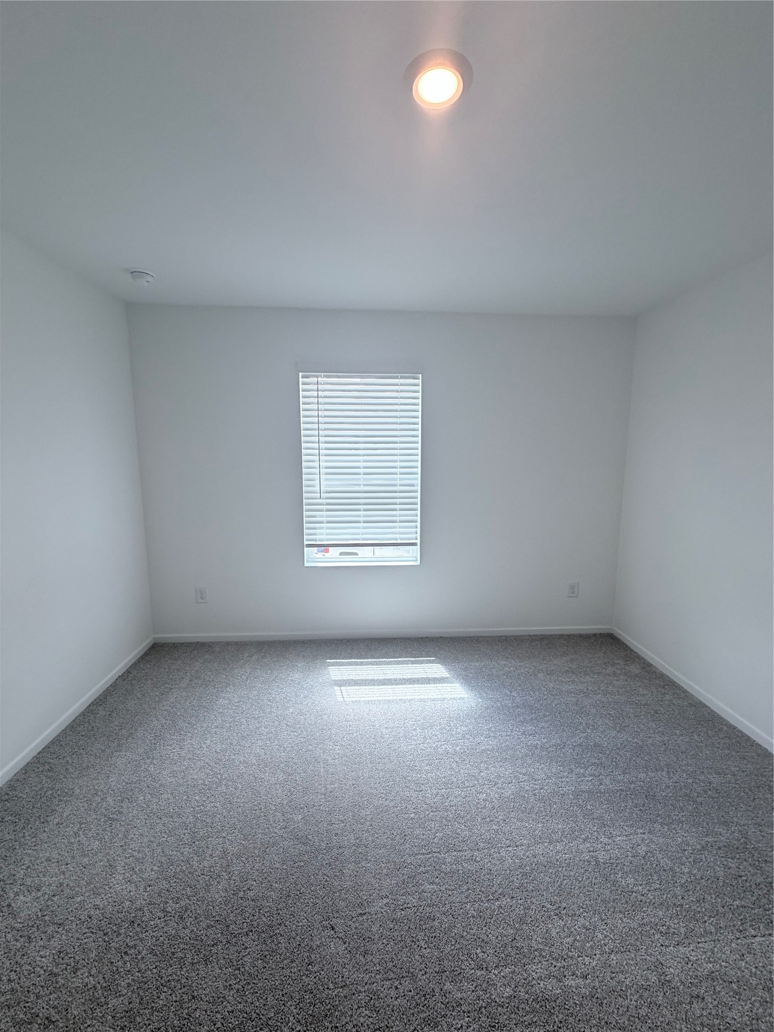 1639 Windrose Bend Property Photo 16