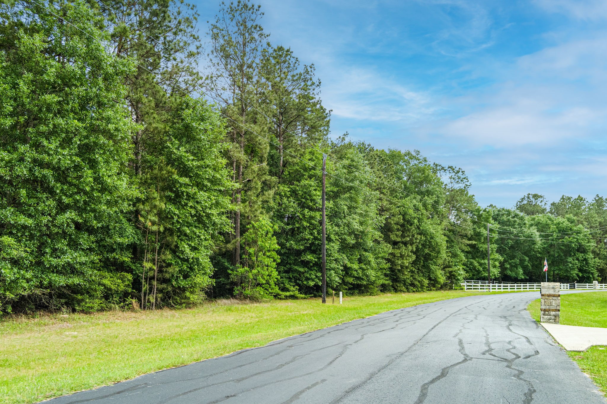 30041 Round Up Drive Property Photo 1
