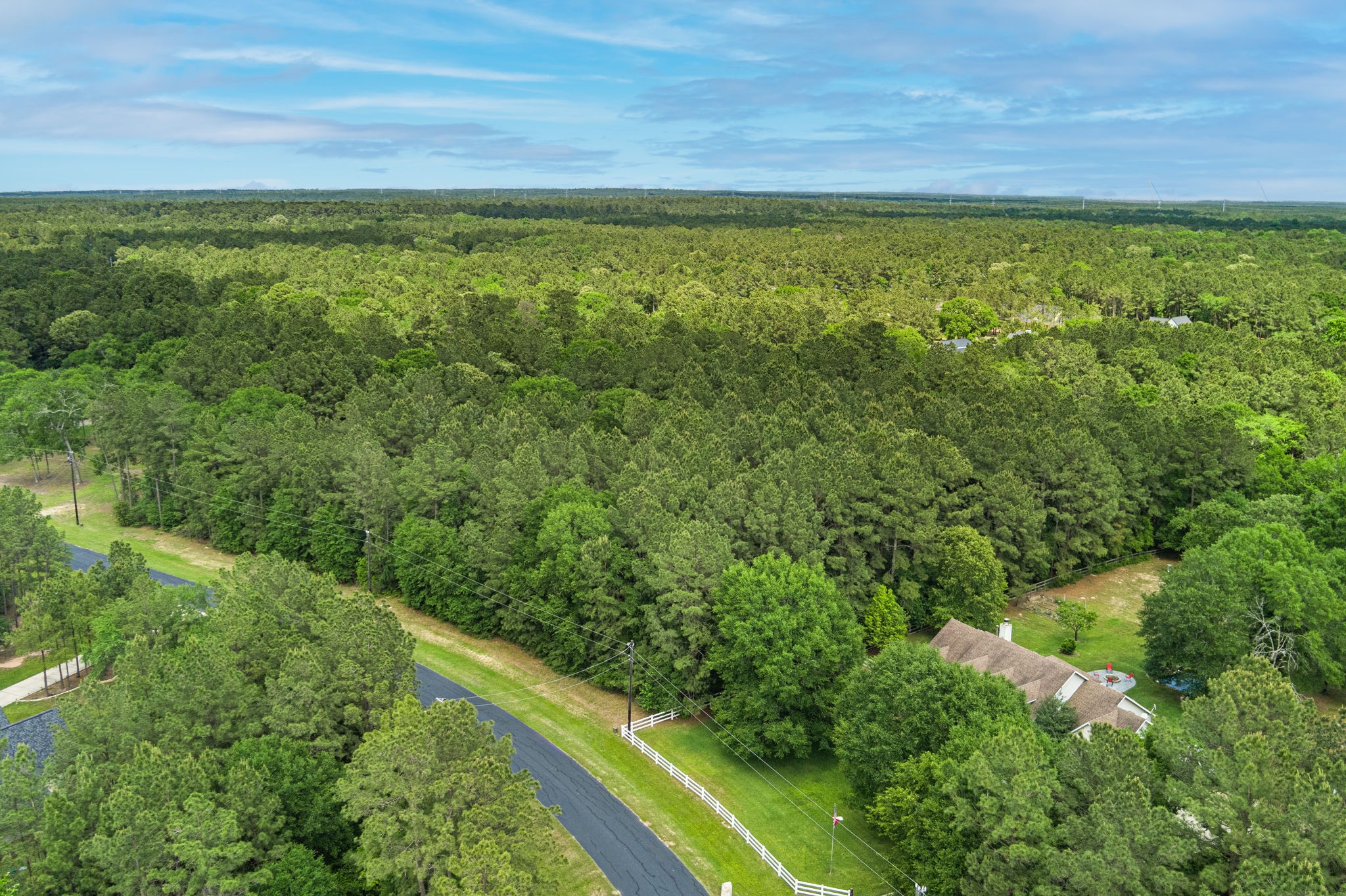 30041 Round Up Drive Property Photo 3
