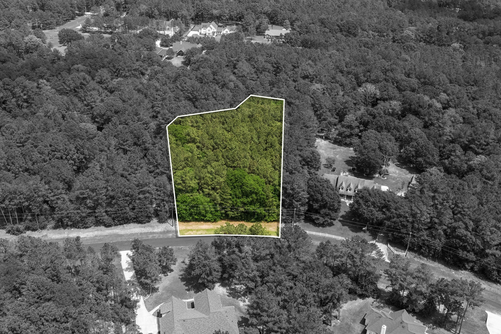 30041 Round Up Drive Property Photo 4