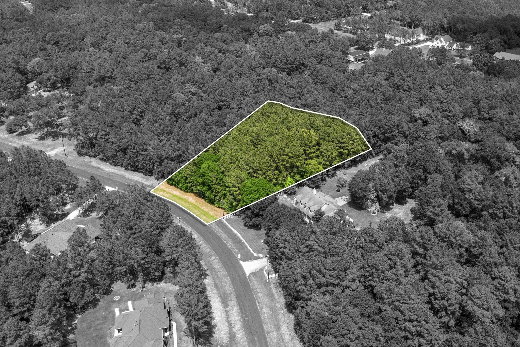 30041 Round Up Drive Property Photo 5