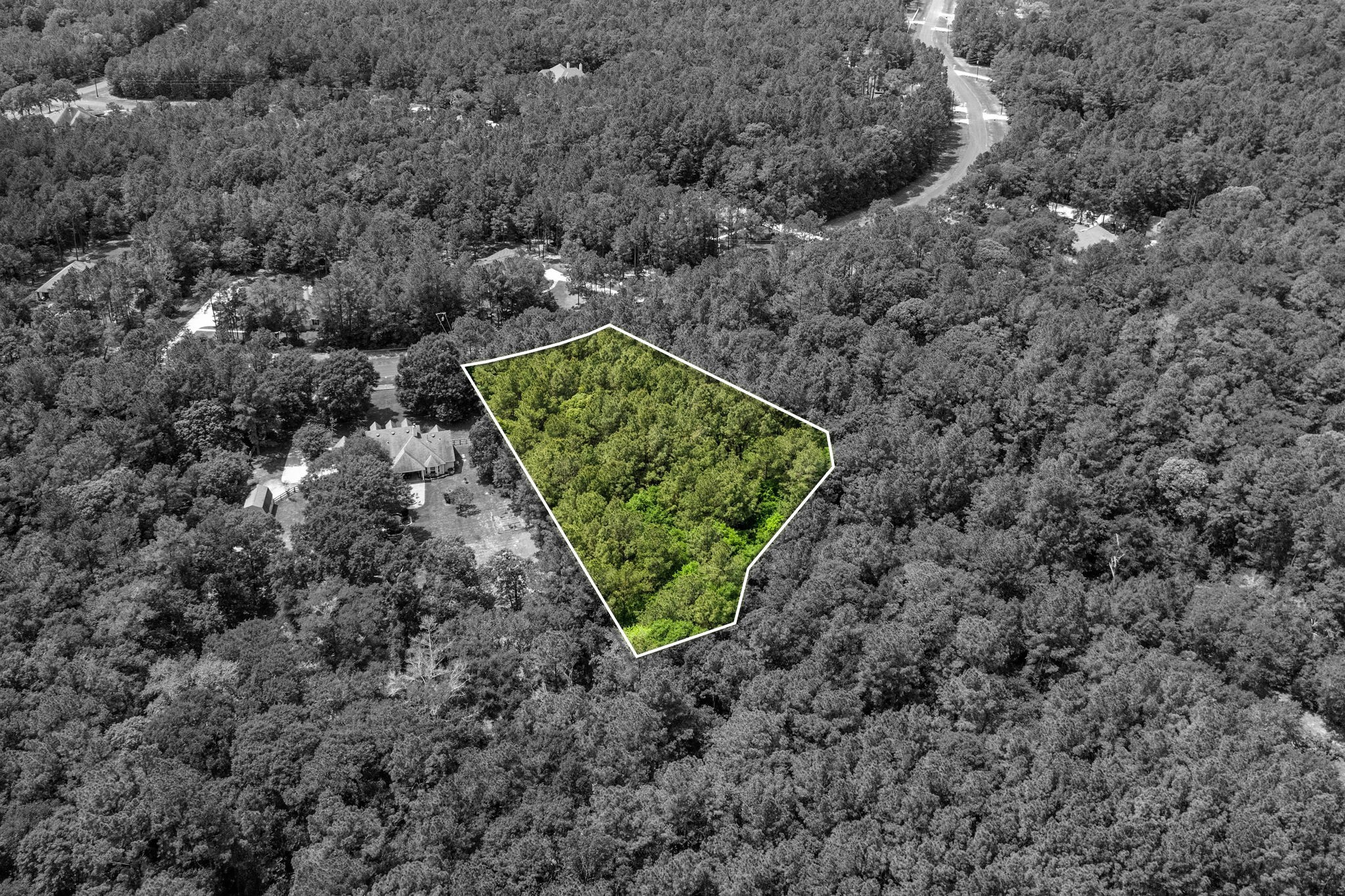 30041 Round Up Drive Property Photo 6