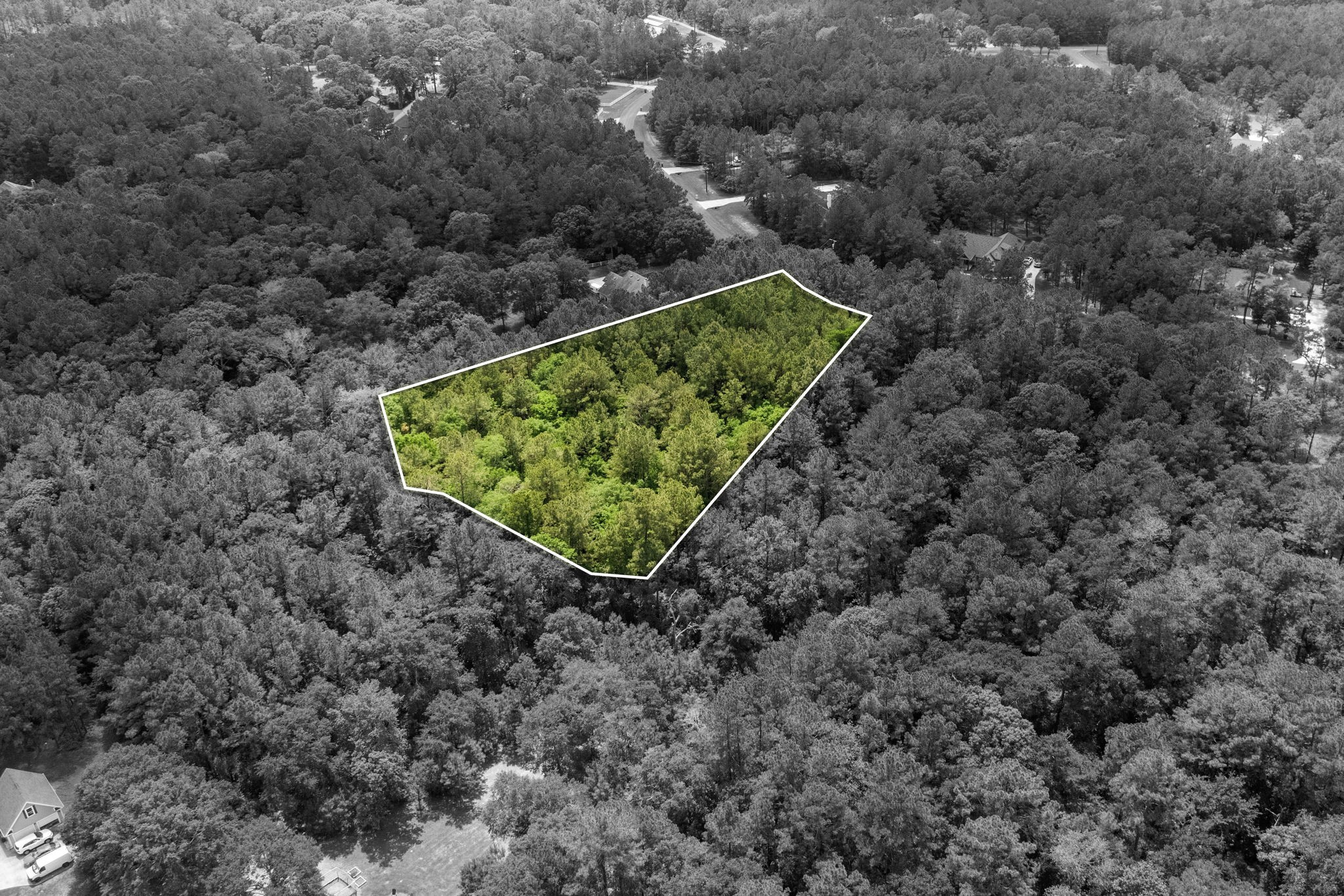 30041 Round Up Drive Property Photo 7