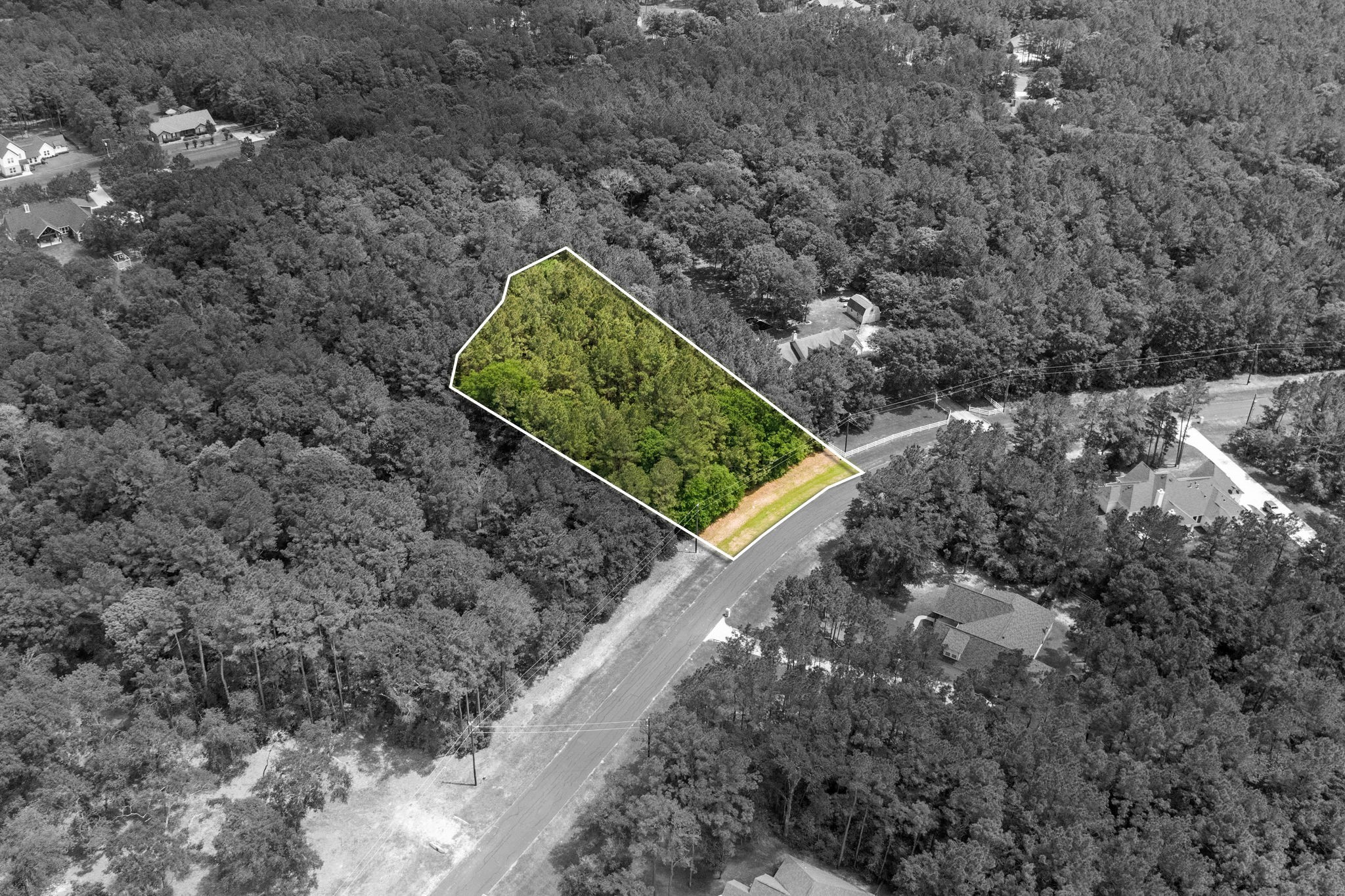 30041 Round Up Drive Property Photo 8