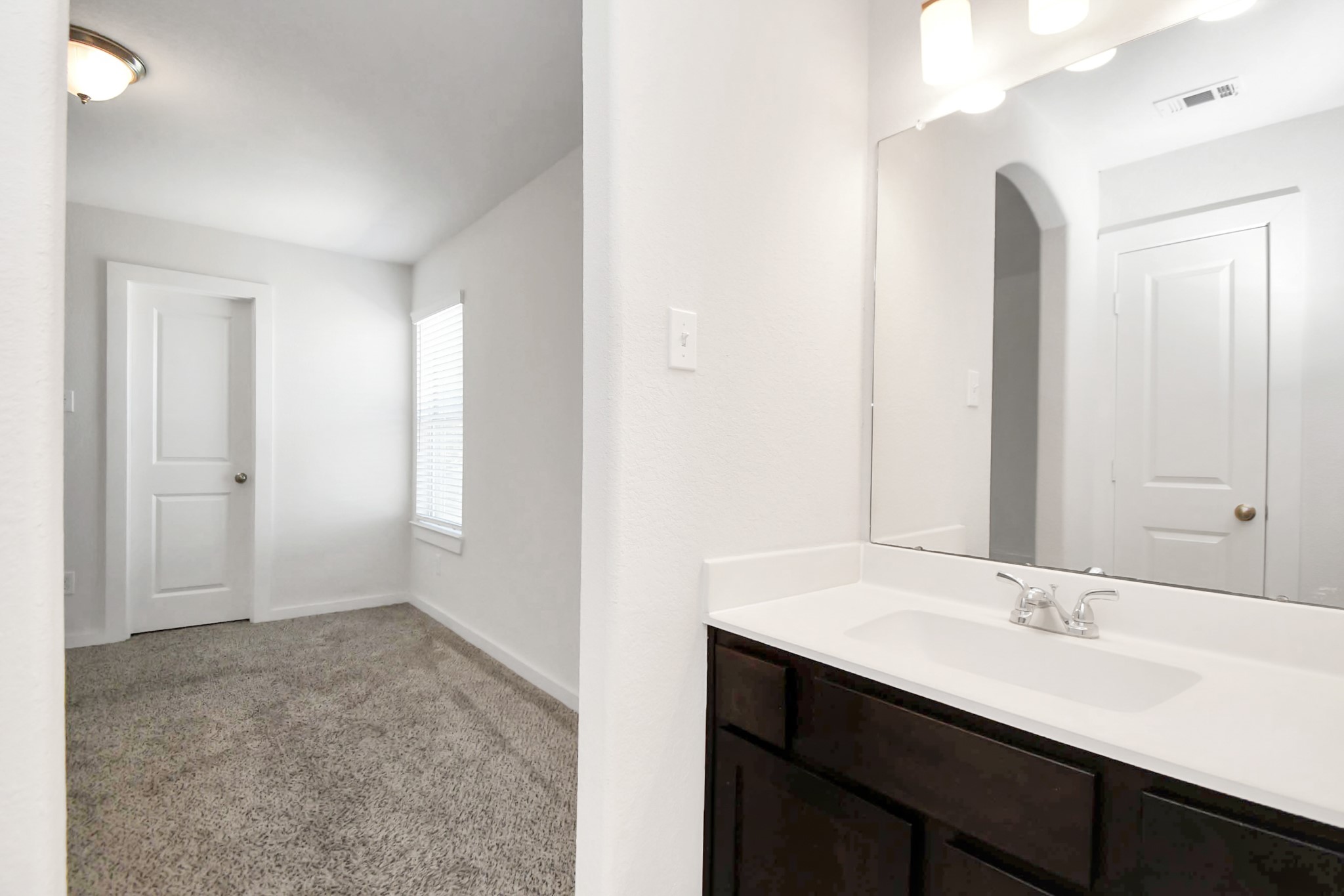 6822 Spring Vale Drive Property Photo 26