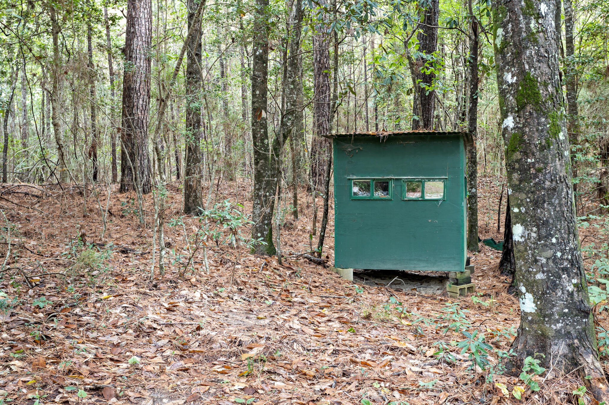 610 Private Road 5130 Property Photo 44