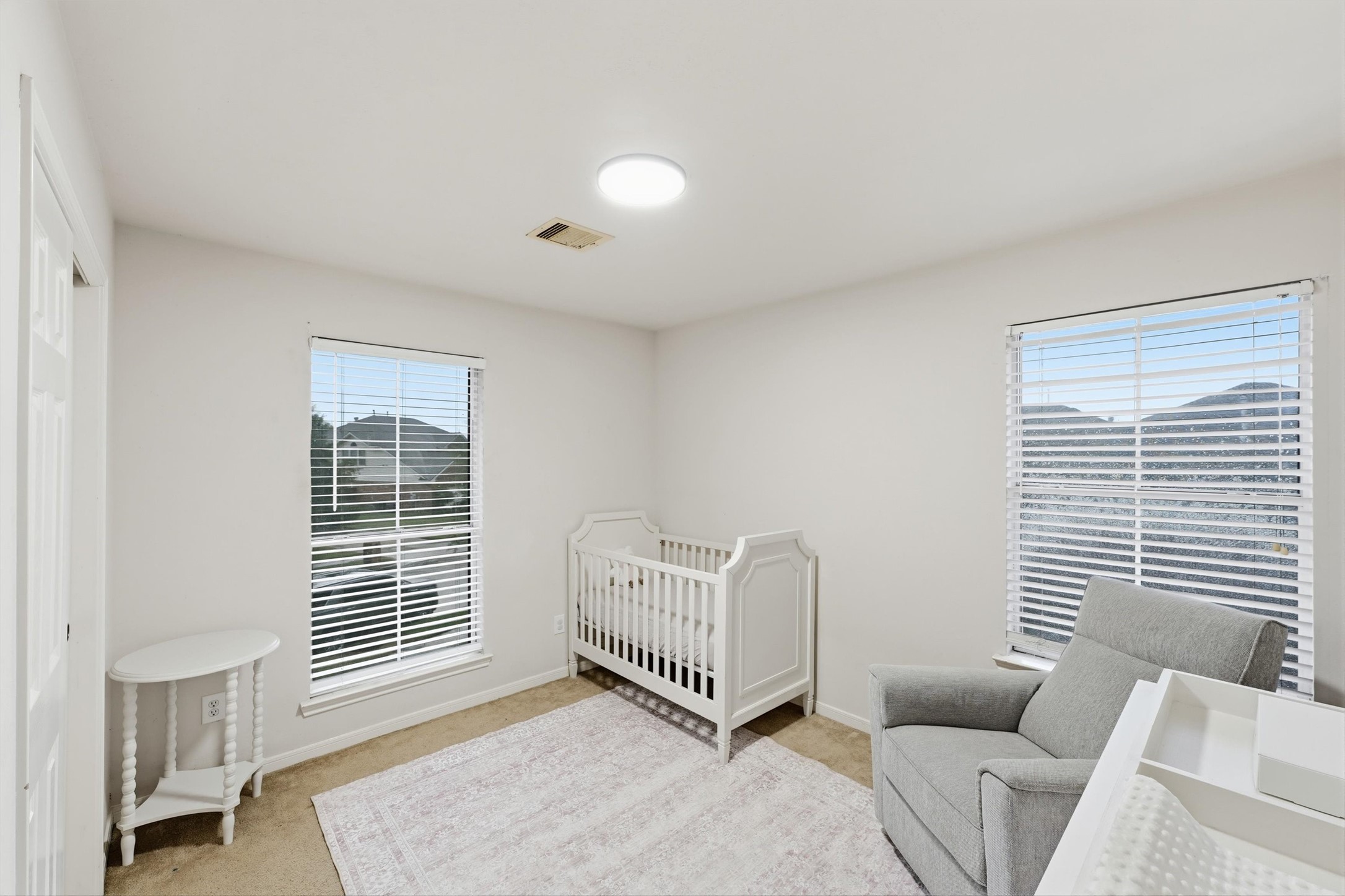 2502 Salt Grass Trail Property Photo 19