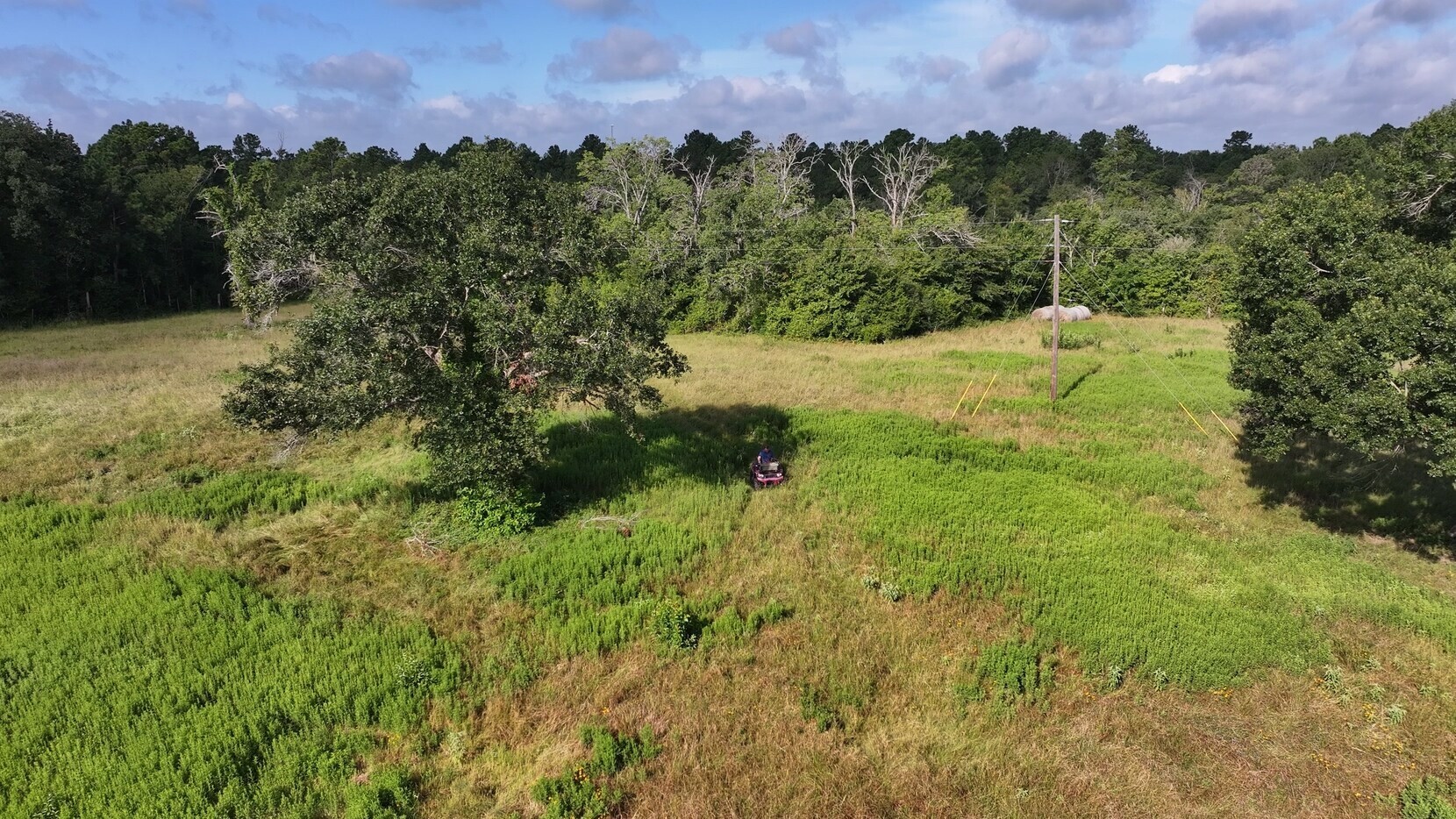 Tbd Walker Ln Lane Property Photo 6