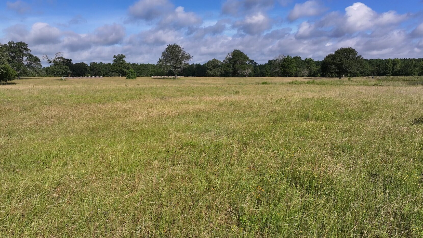 Tbd Walker Ln Lane Property Photo 8