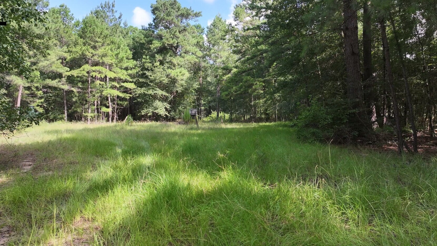 Tbd Walker Ln Lane Property Photo 21