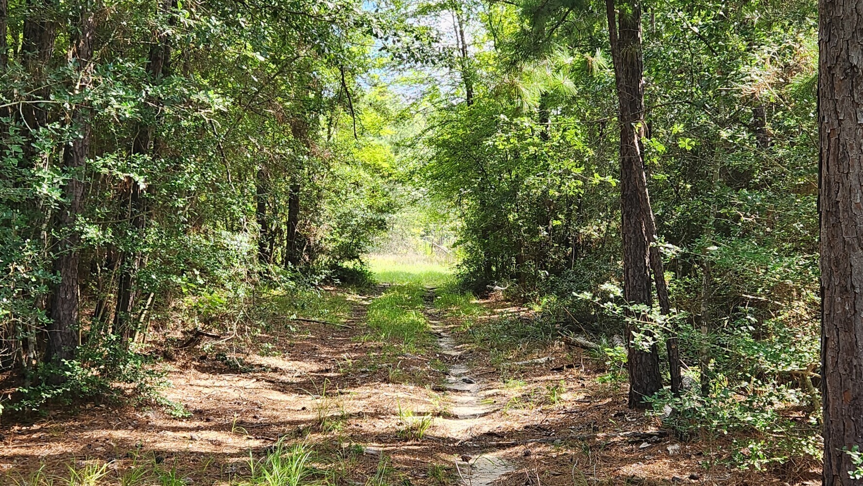 Tbd Walker Ln Lane Property Photo 26