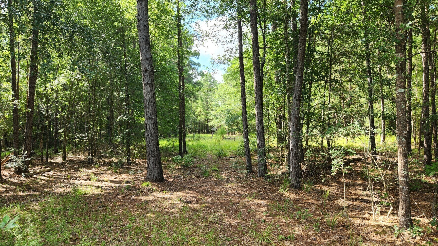 Tbd Walker Ln Lane Property Photo 27