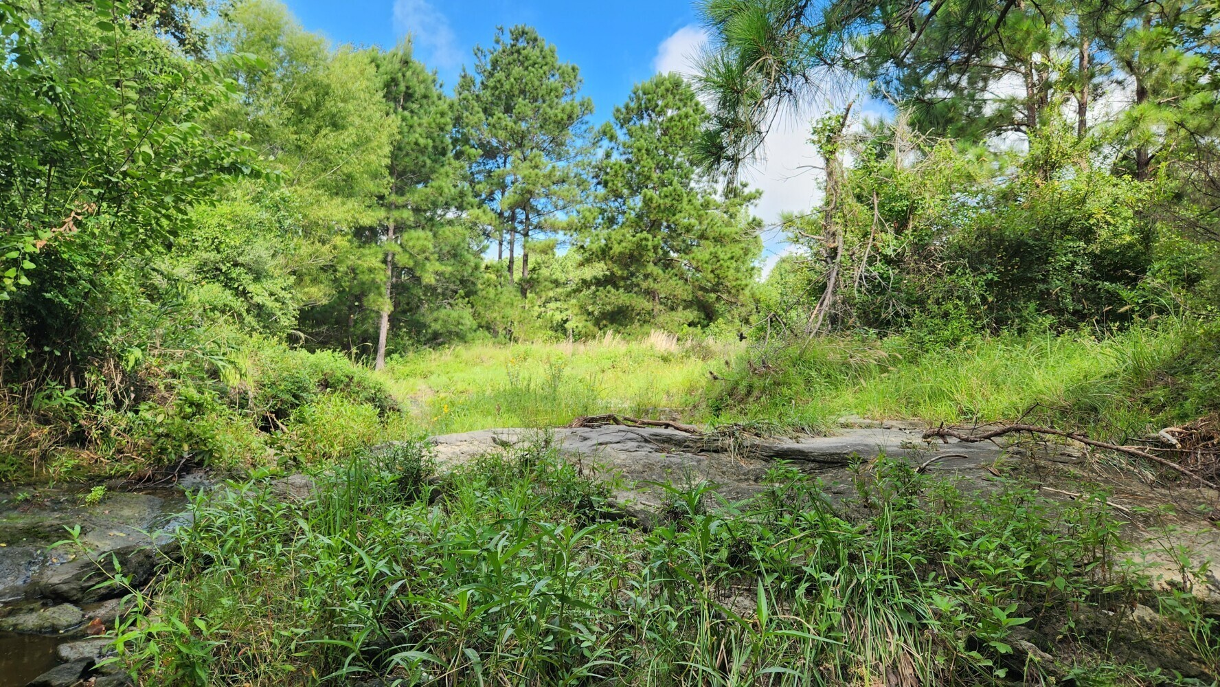 Tbd Walker Ln Lane Property Photo 30