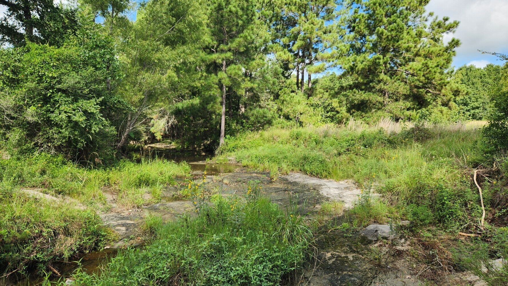 Tbd Walker Ln Lane Property Photo 31