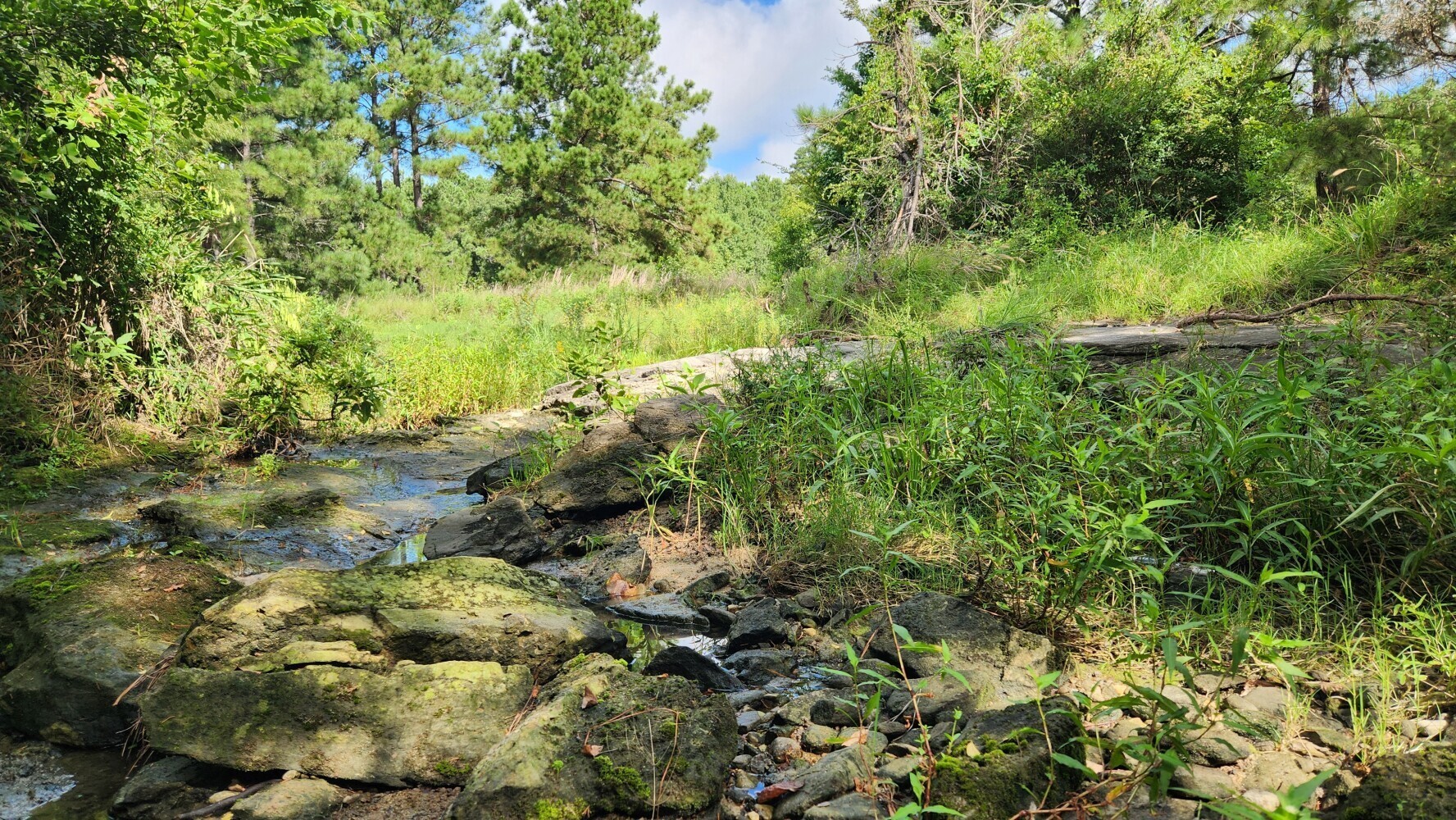 Tbd Walker Ln Lane Property Photo 33