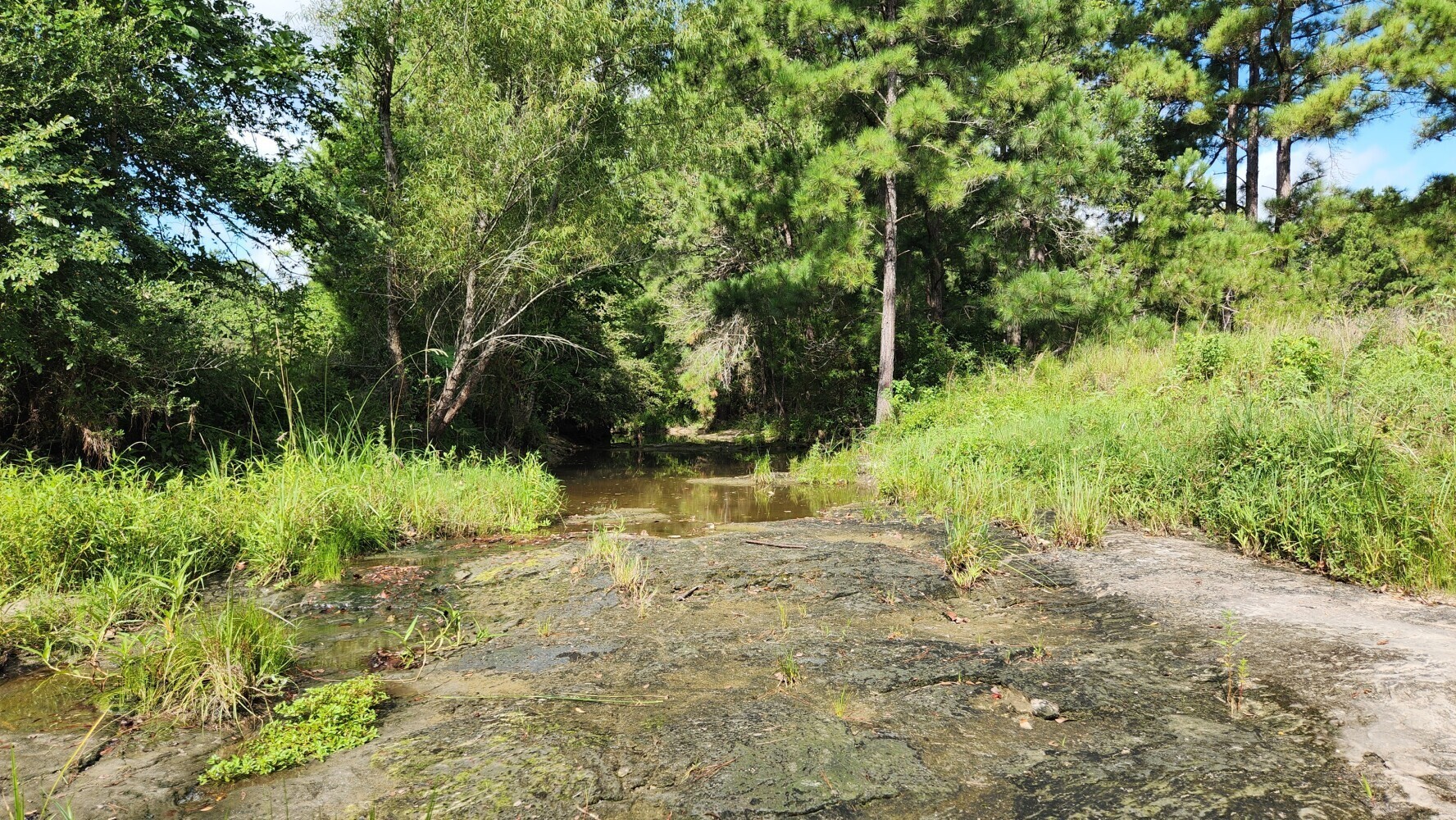 Tbd Walker Ln Lane Property Photo 34
