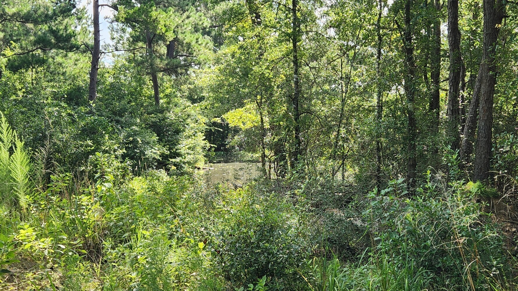 Tbd Walker Ln Lane Property Photo 35