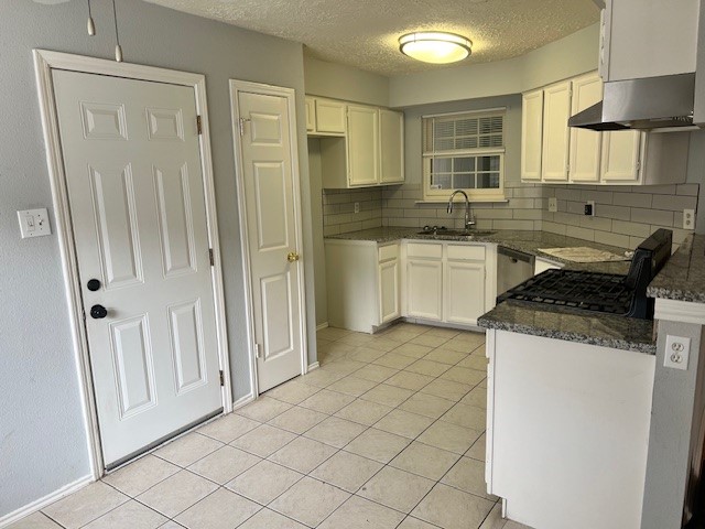 24010 Lone Elm Drive Property Photo 2