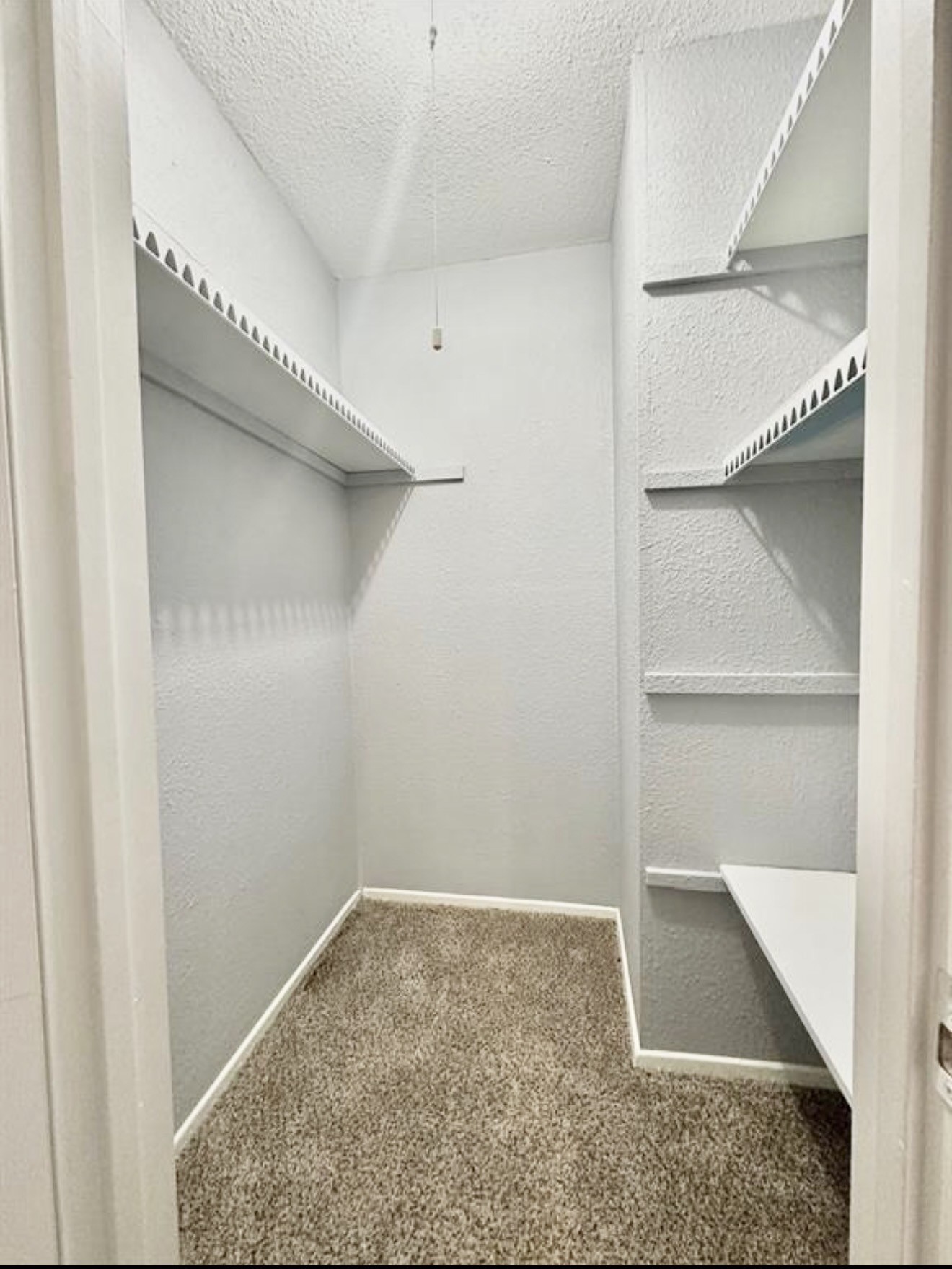 16110 White Star Drive Property Photo 2