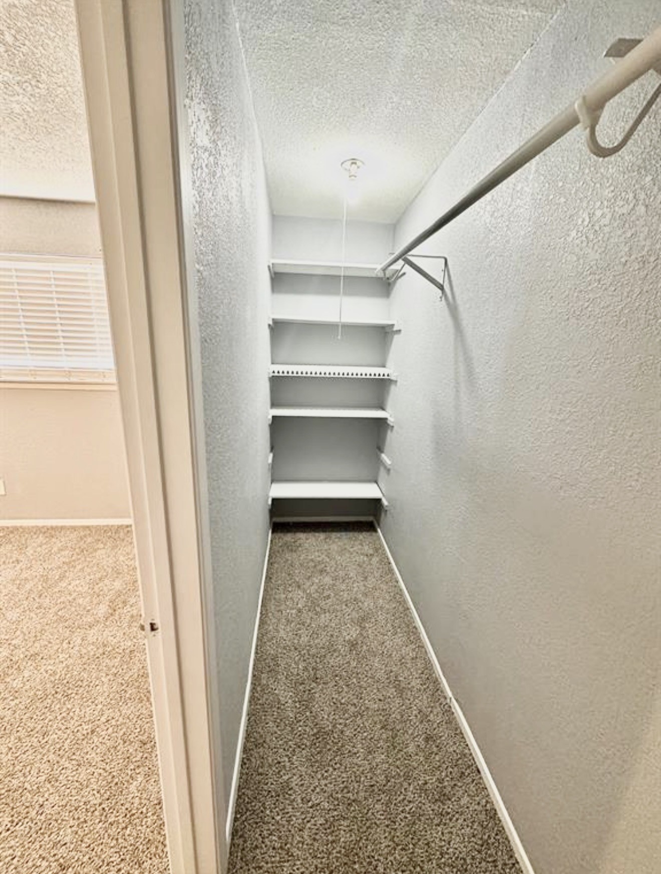 16110 White Star Drive Property Photo 5