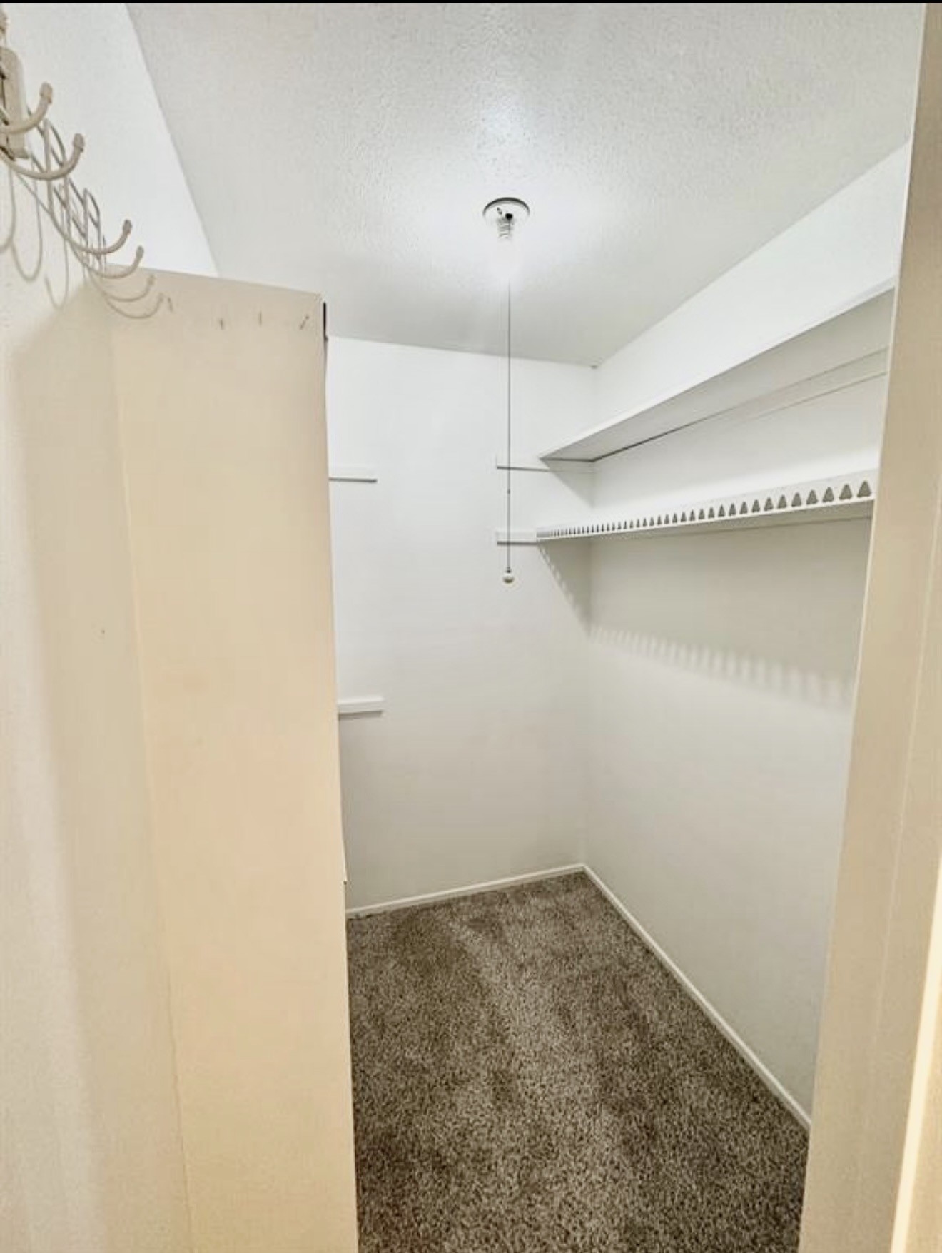 16110 White Star Drive Property Photo 8