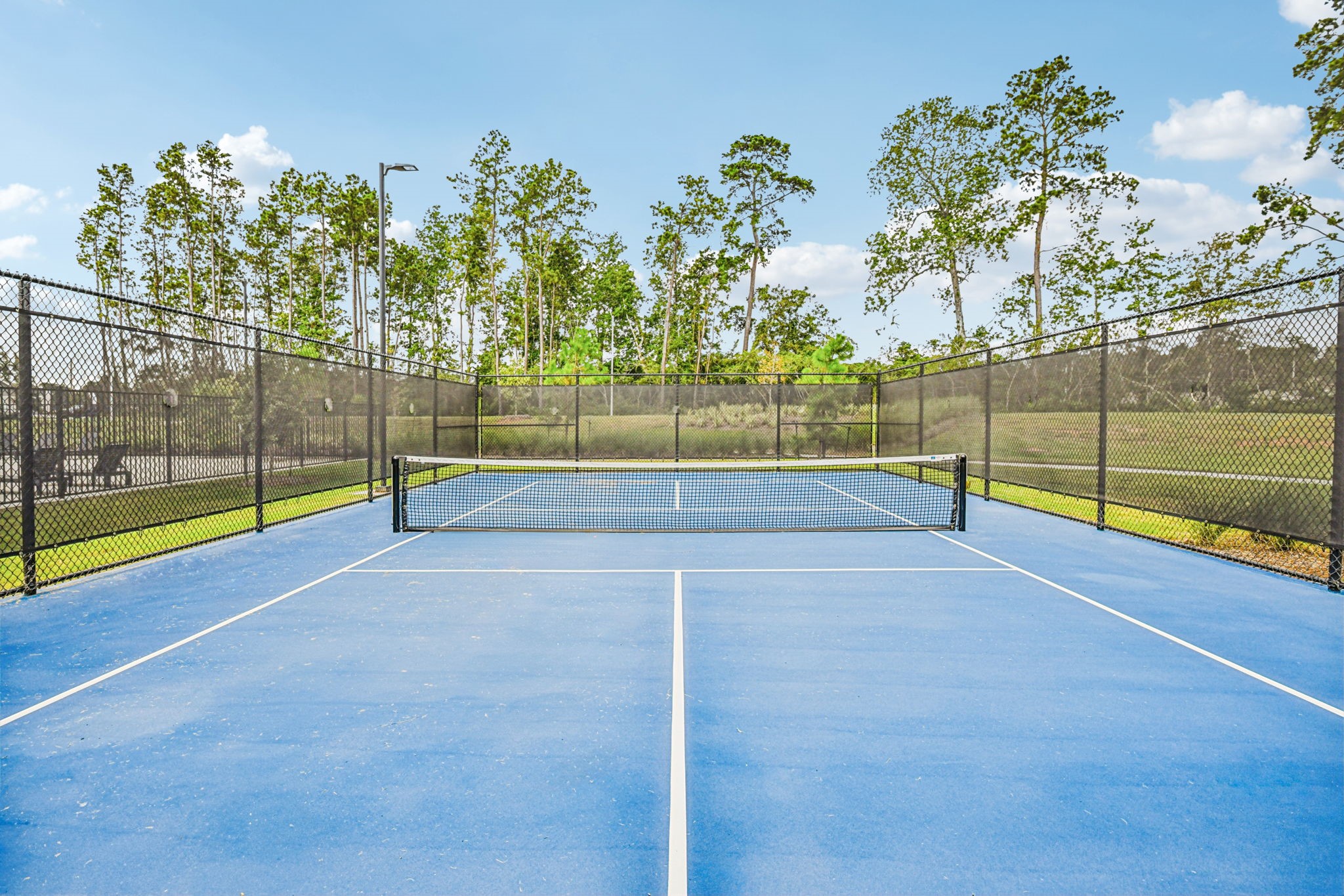 25327 Brushby Creek Drive Property Photo 12