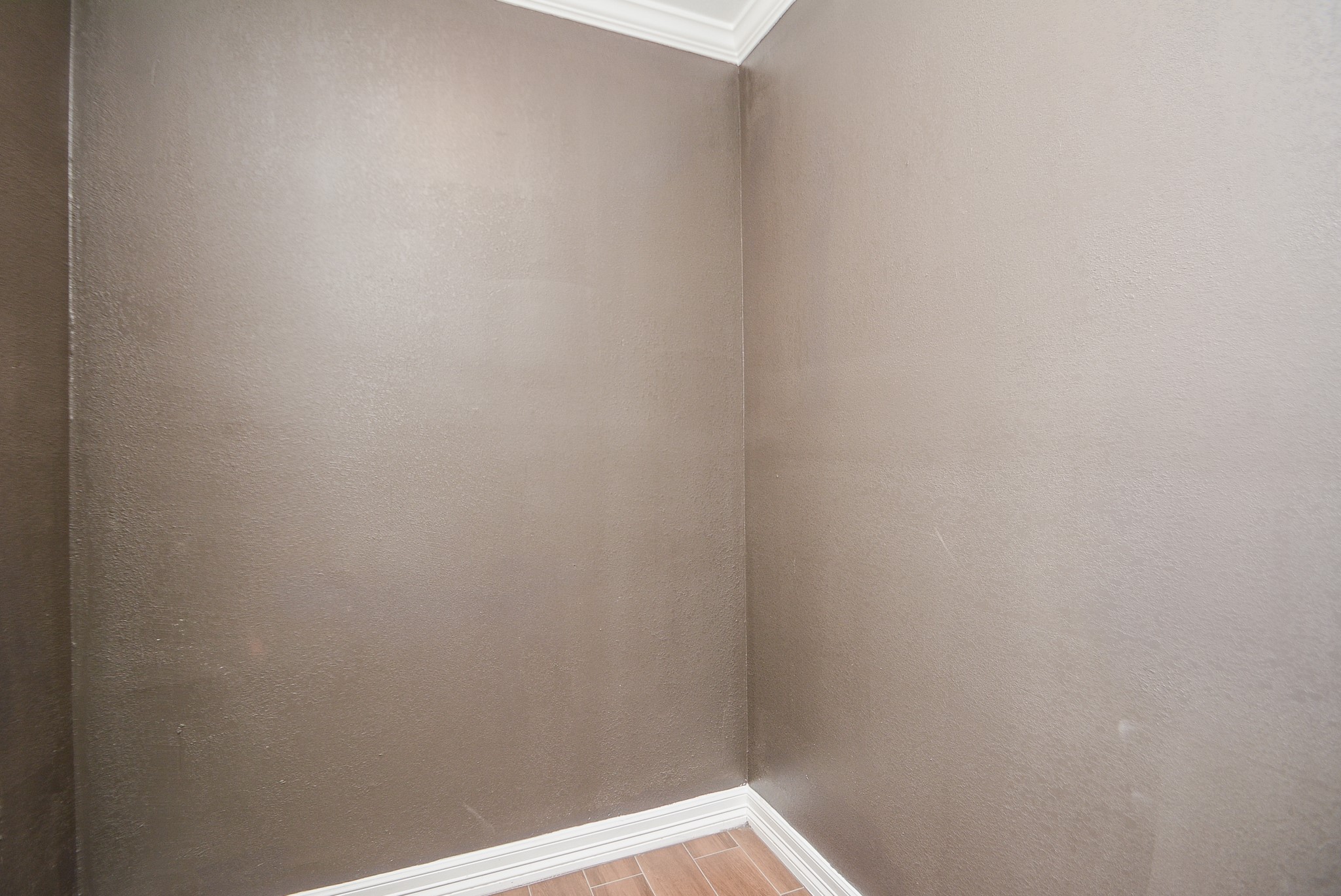 12315 Maxim Drive Property Photo 35
