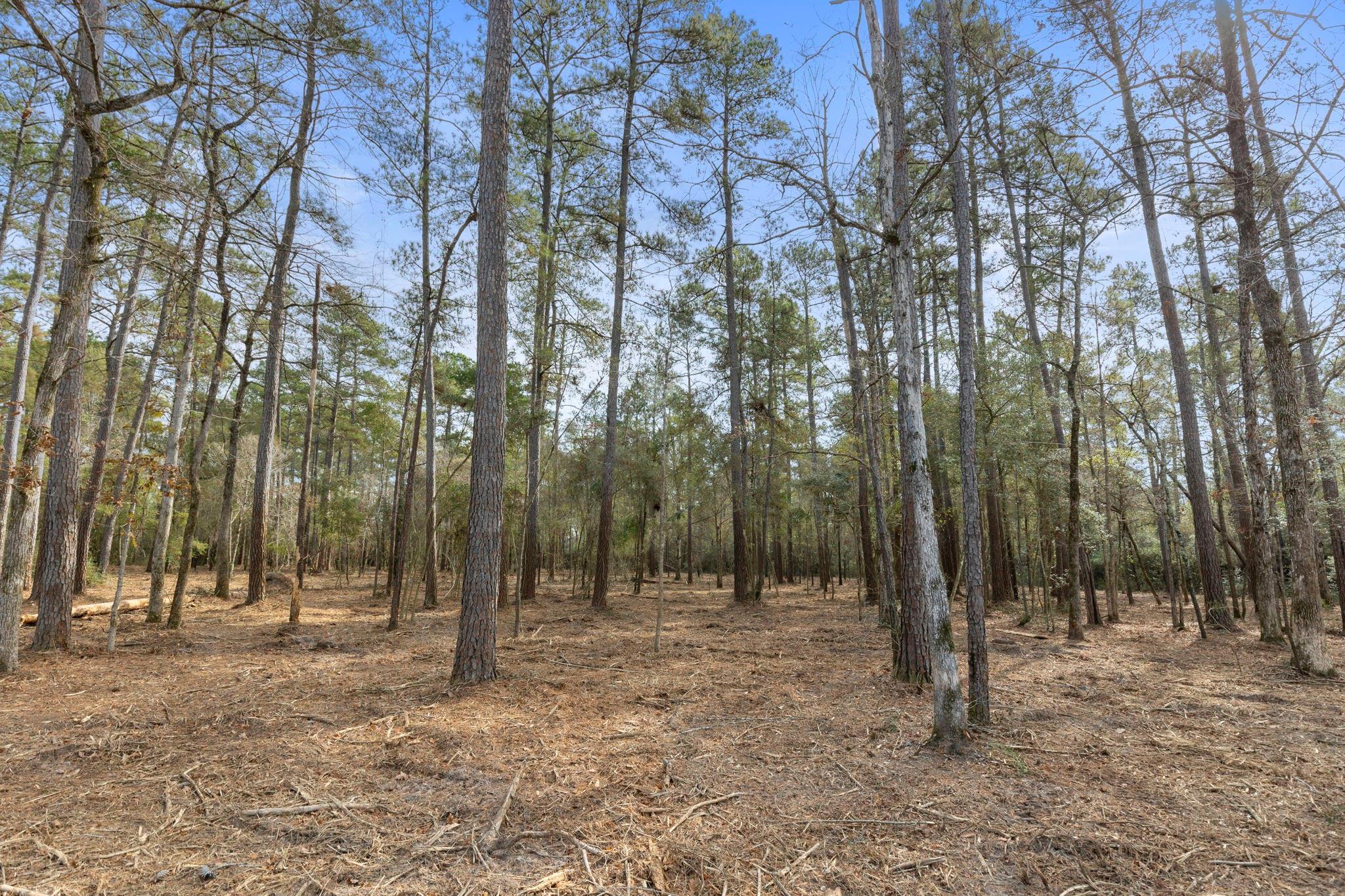 15880 Four Hills Road, Willis TX 77378 Property Photo 1