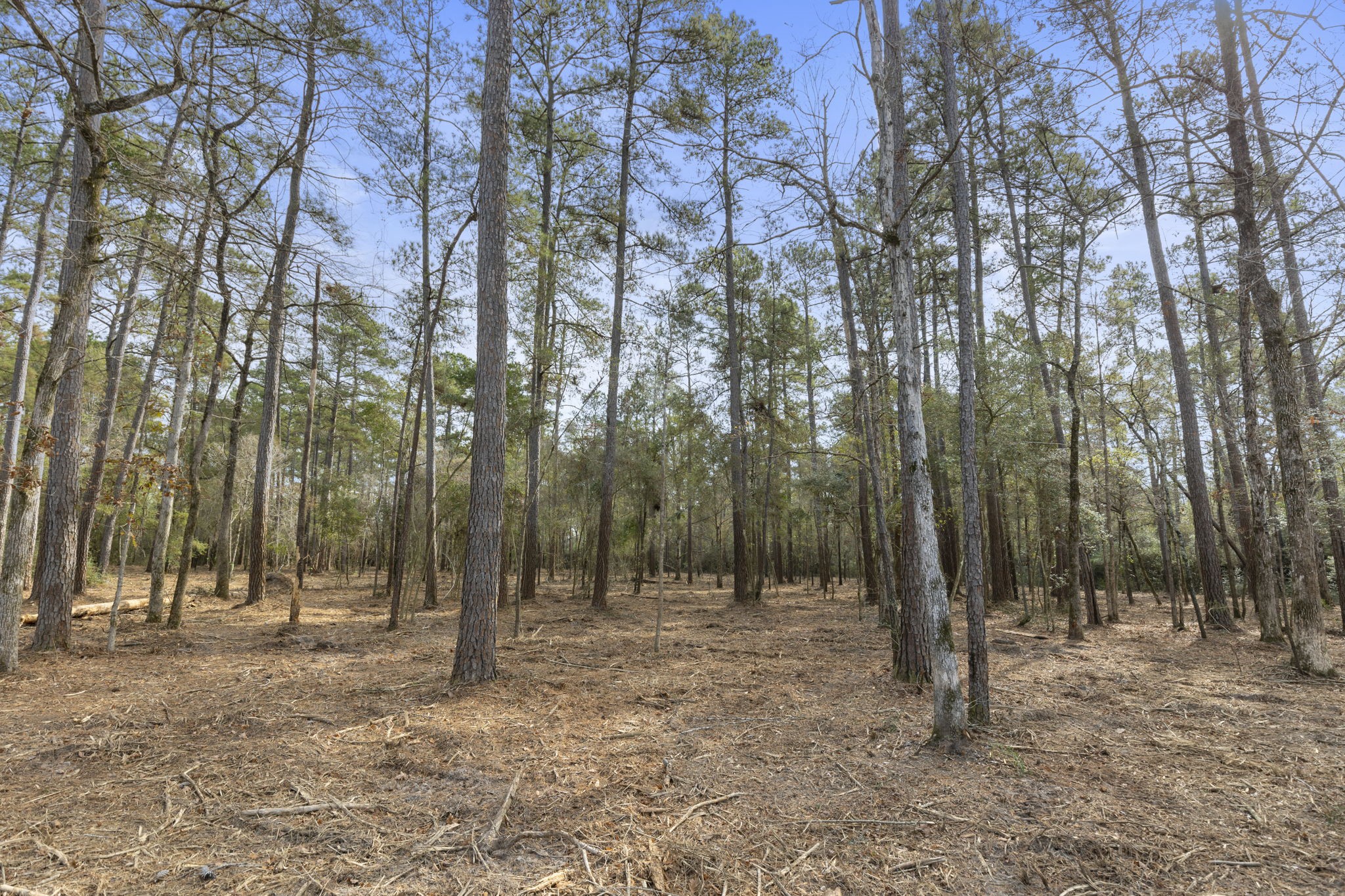 15880 Four Hills Road Property Photo 4