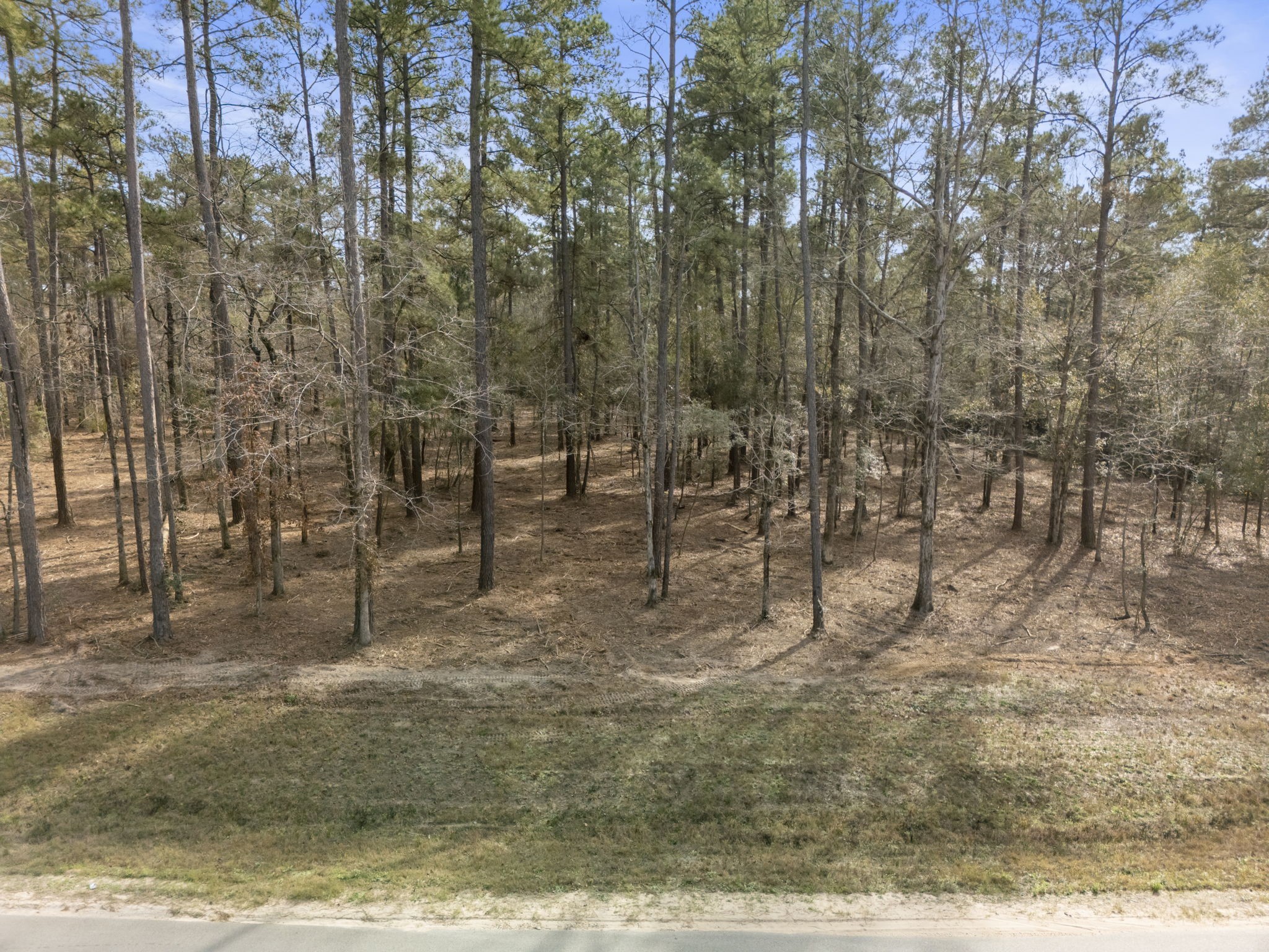 15880 Four Hills Road Property Photo 5