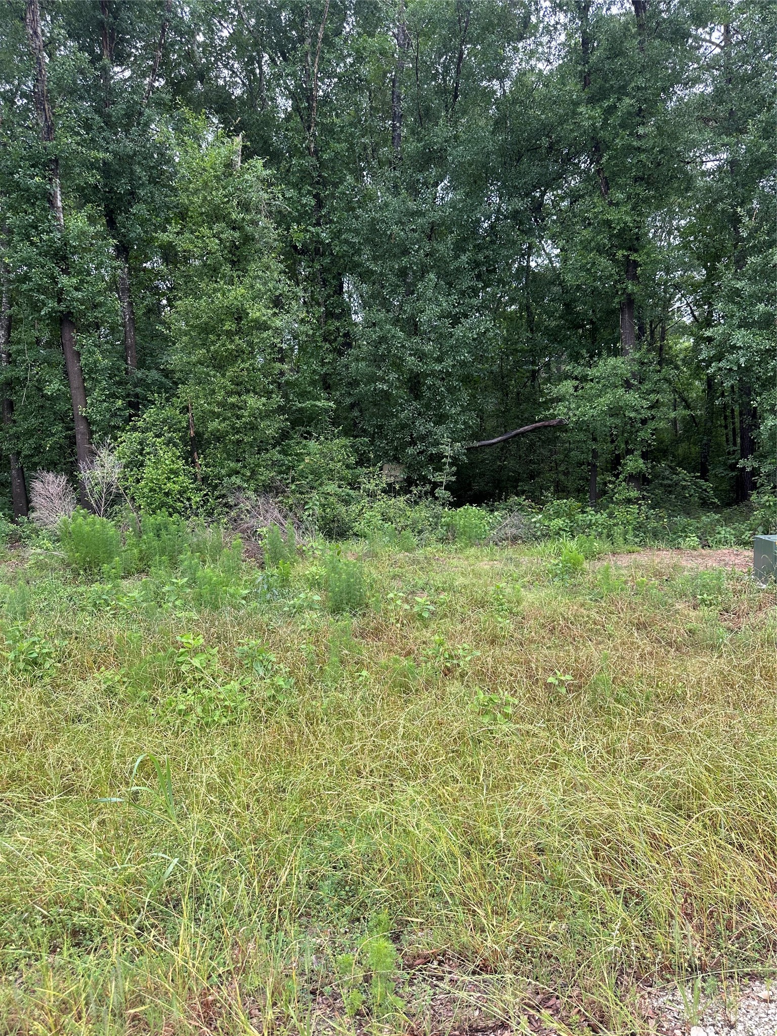 149 Hollow Hill Drive Property Photo 3