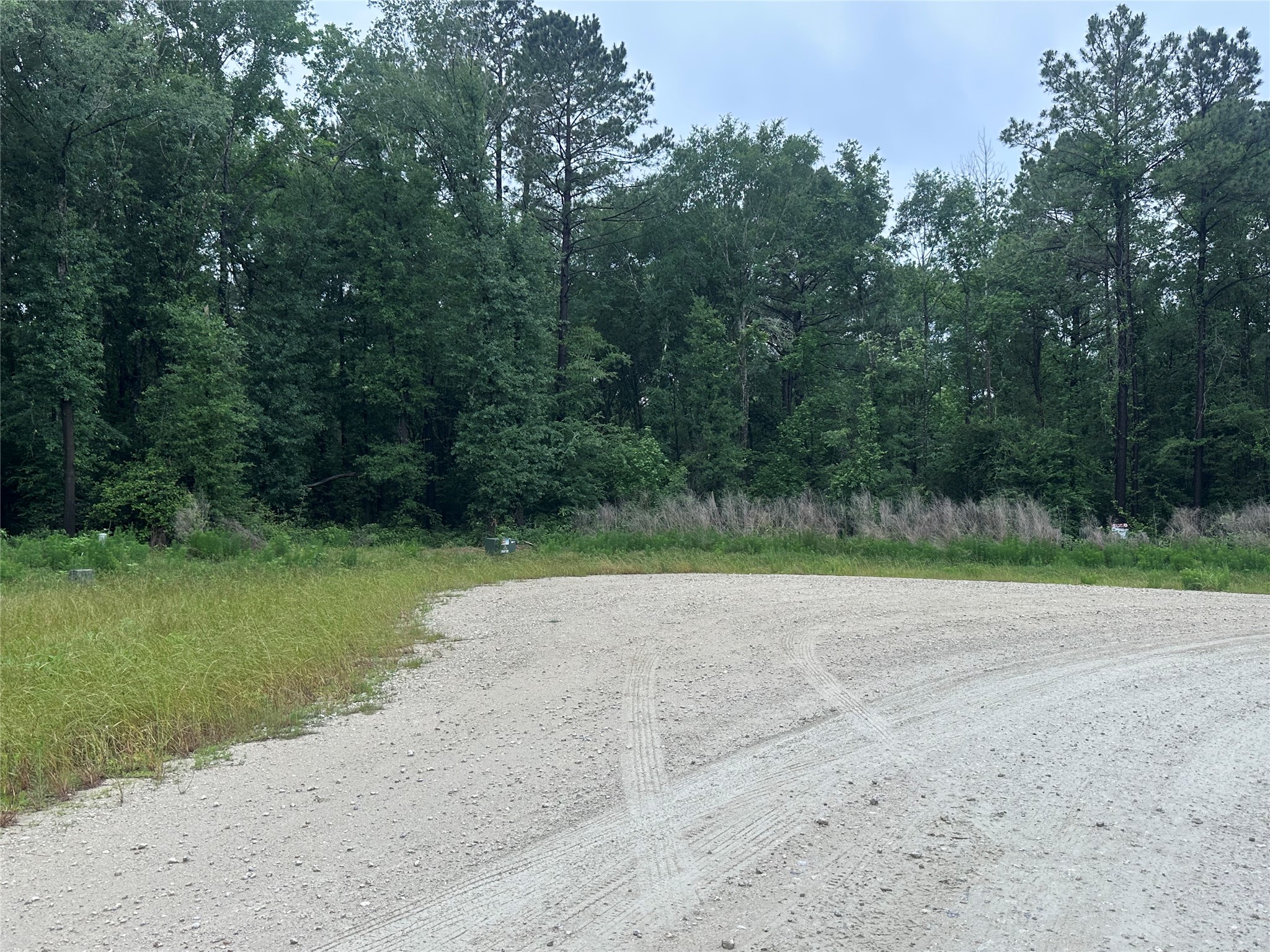 149 Hollow Hill Drive Property Photo 4