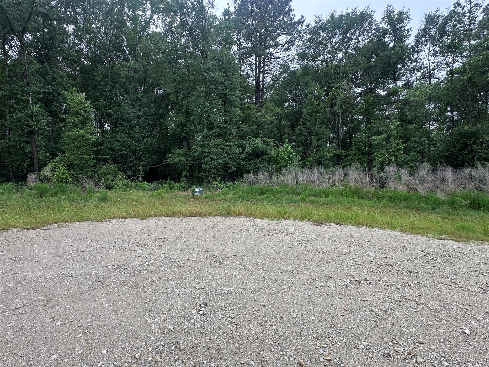 149 Hollow Hill Drive Property Photo 5