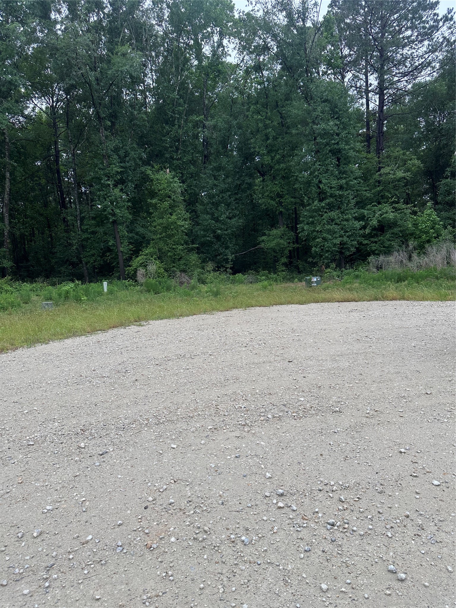 149 Hollow Hill Drive Property Photo 6