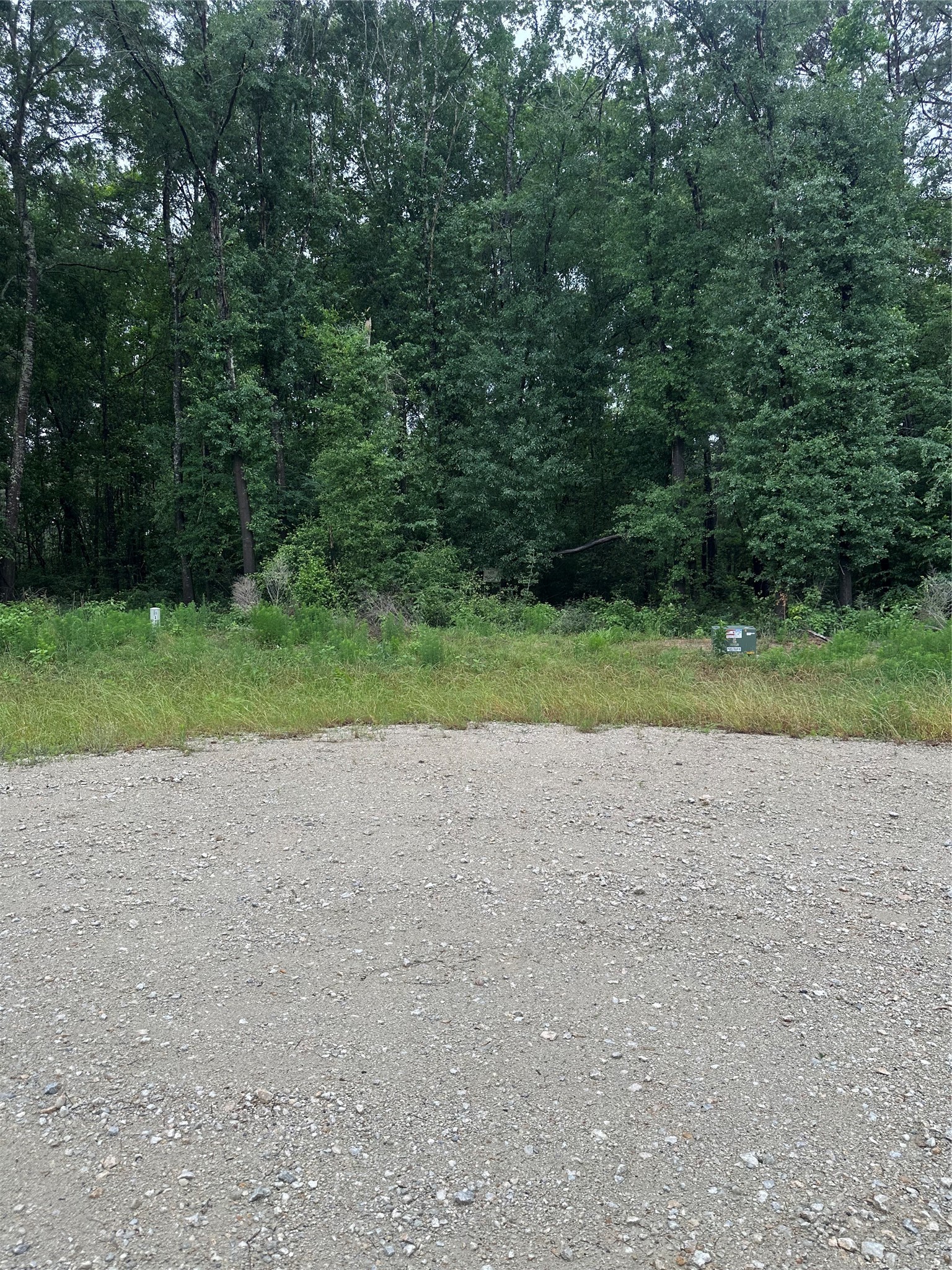 149 Hollow Hill Drive Property Photo 7