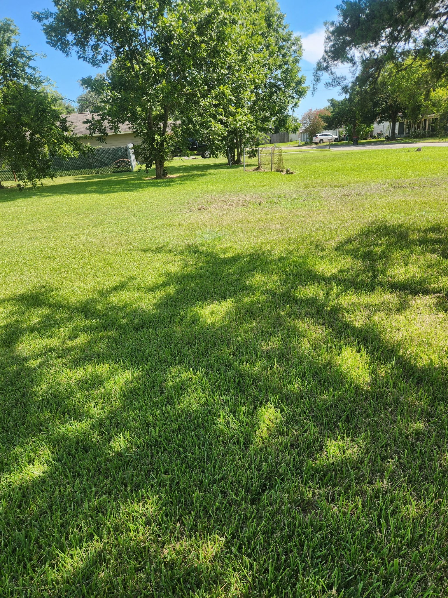 815 Bowie Street Property Photo 5