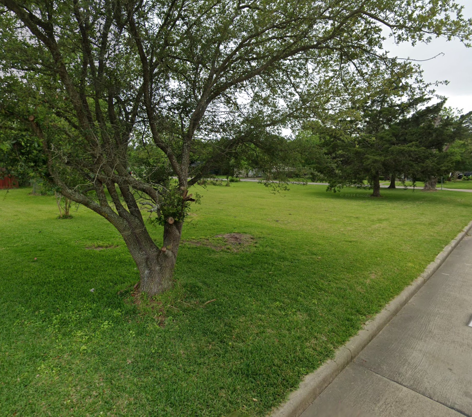 815 Bowie Street Property Photo 6