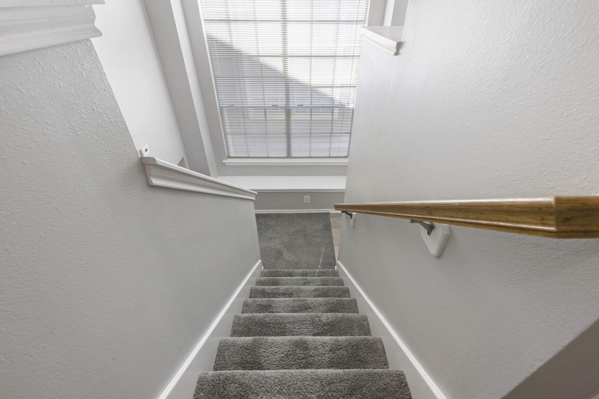 230 Blushwood Place Property Photo 12