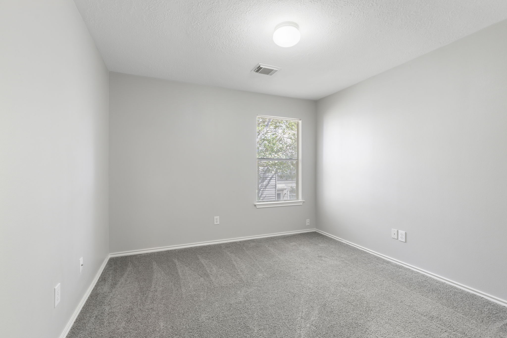 230 Blushwood Place Property Photo 17