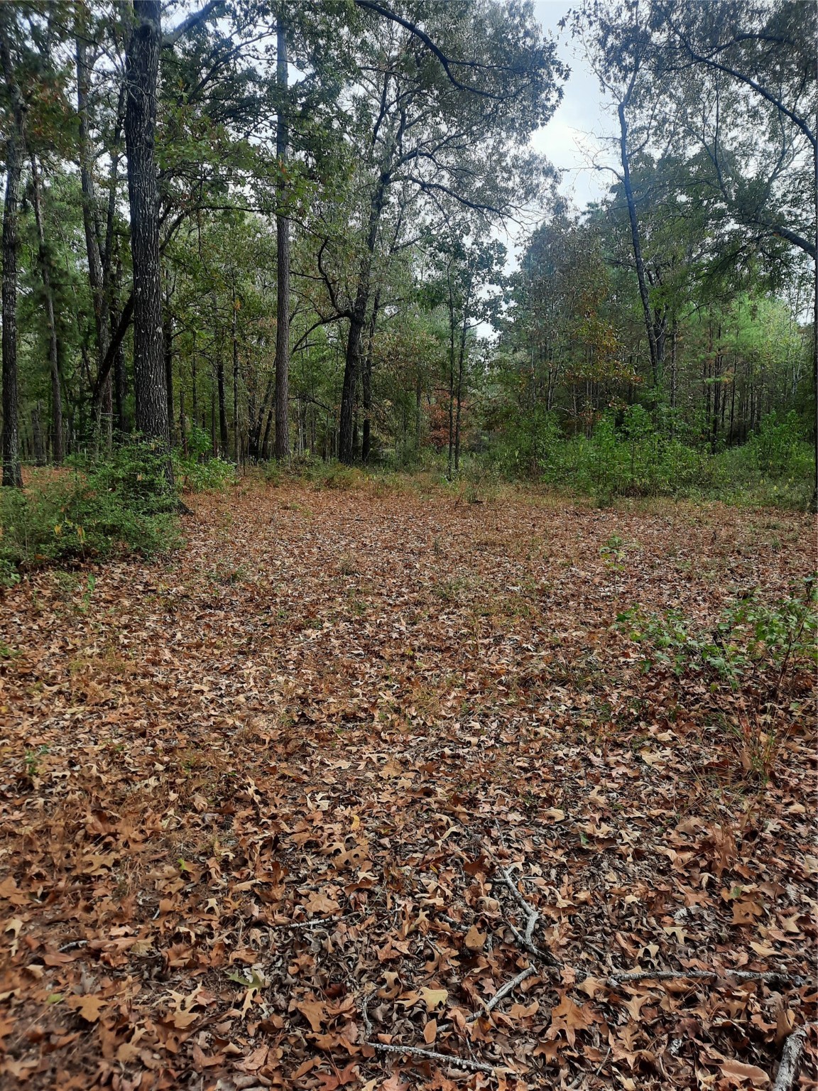2900 County Road 3390 Property Photo 3