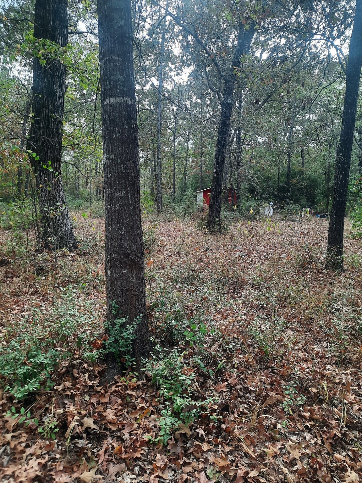 2900 County Road 3390 Property Photo 4