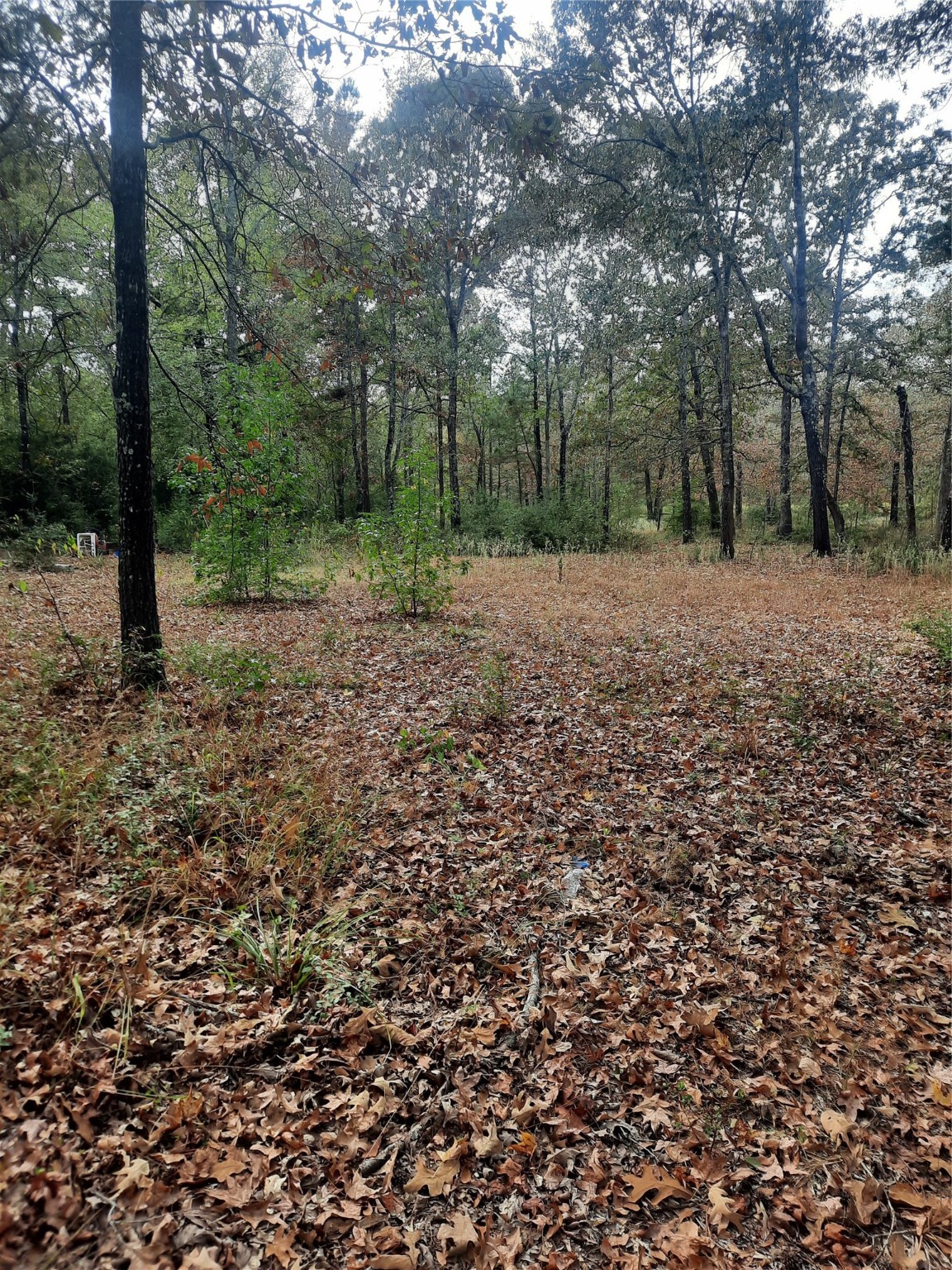 2900 County Road 3390 Property Photo 5